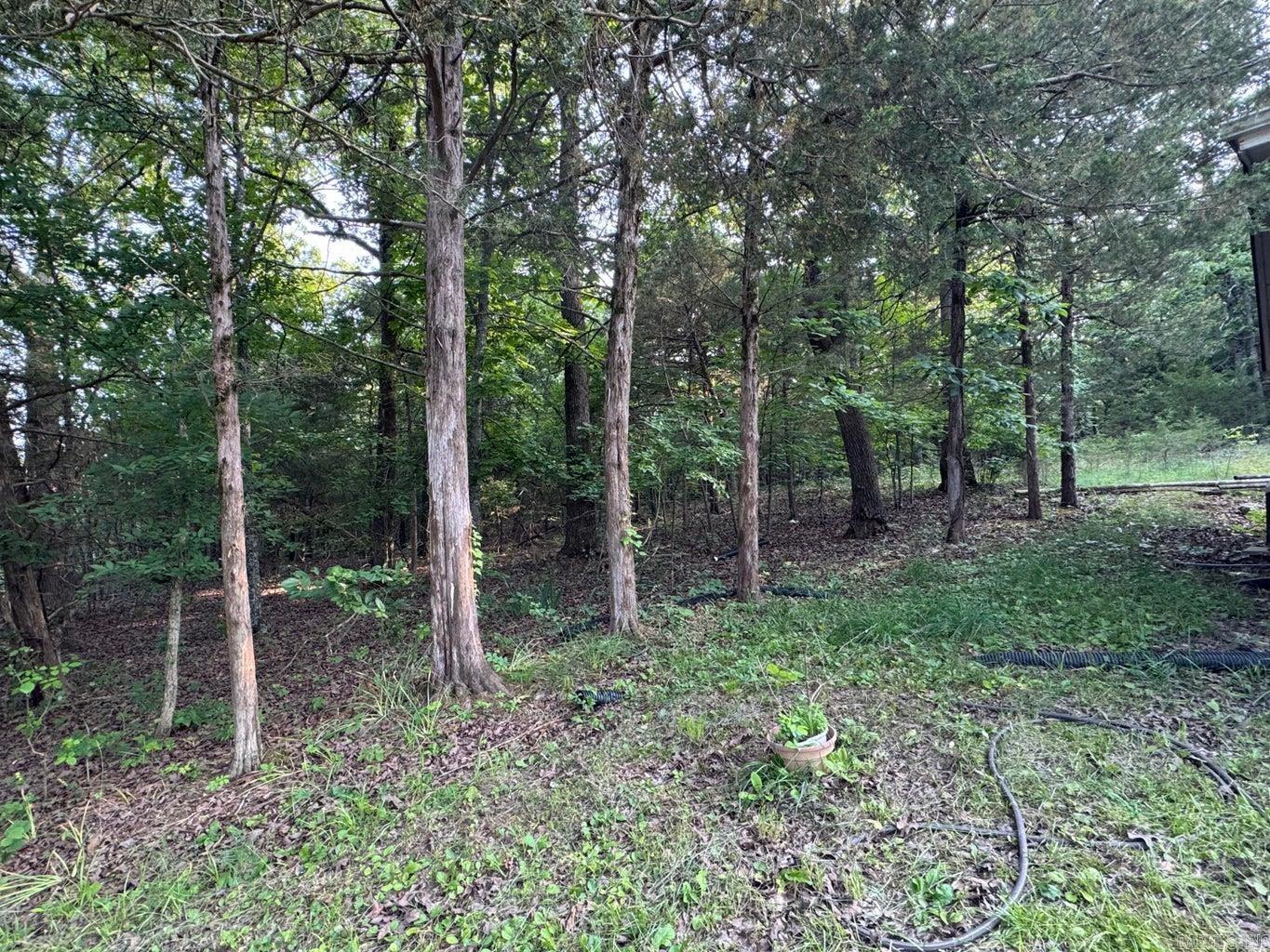 24  Hialeah  Cherokee Village, AR