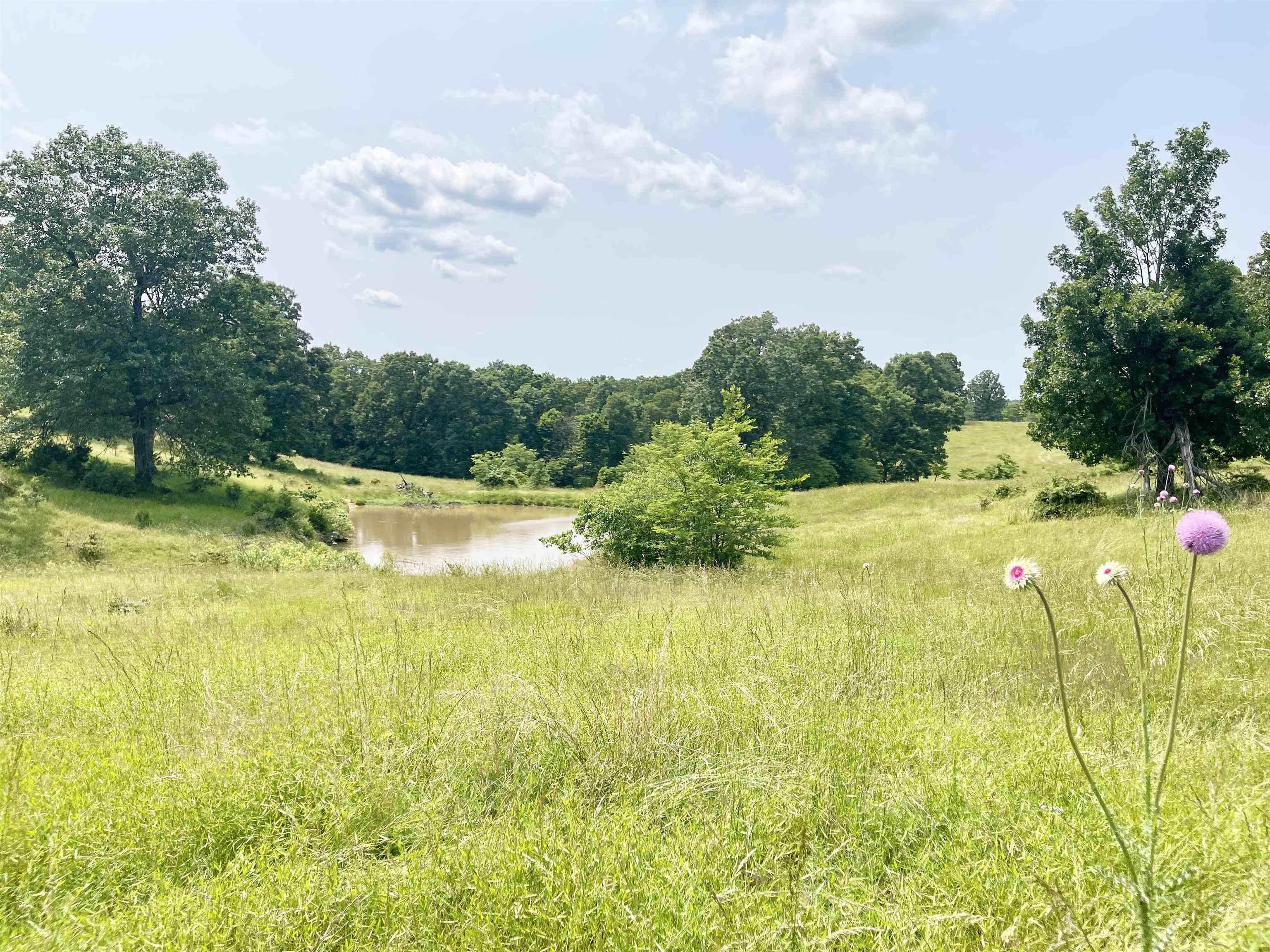 2152  Dove  Gepp, AR