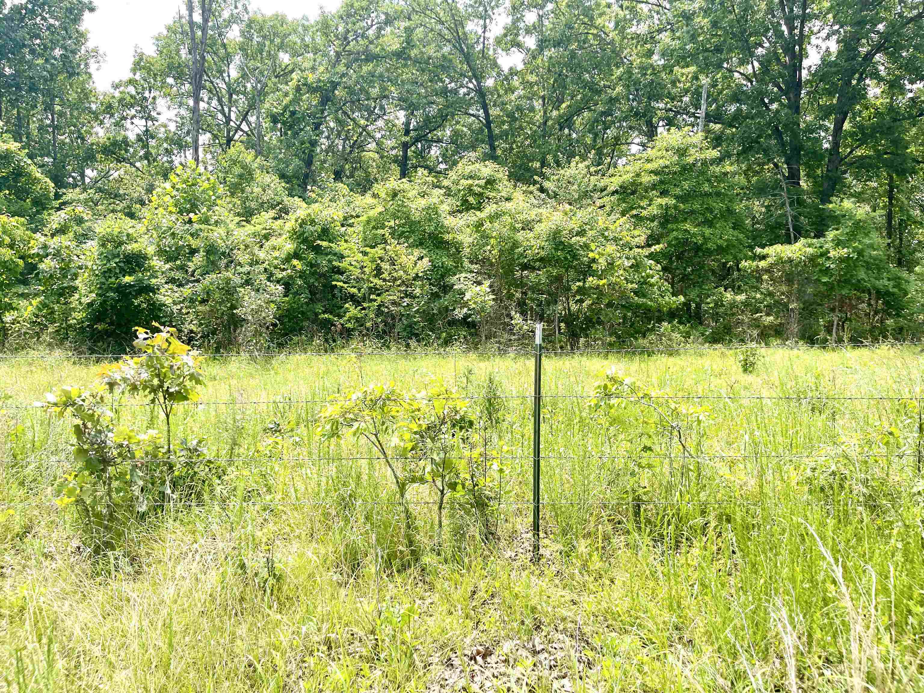 2152  Dove  Gepp, AR