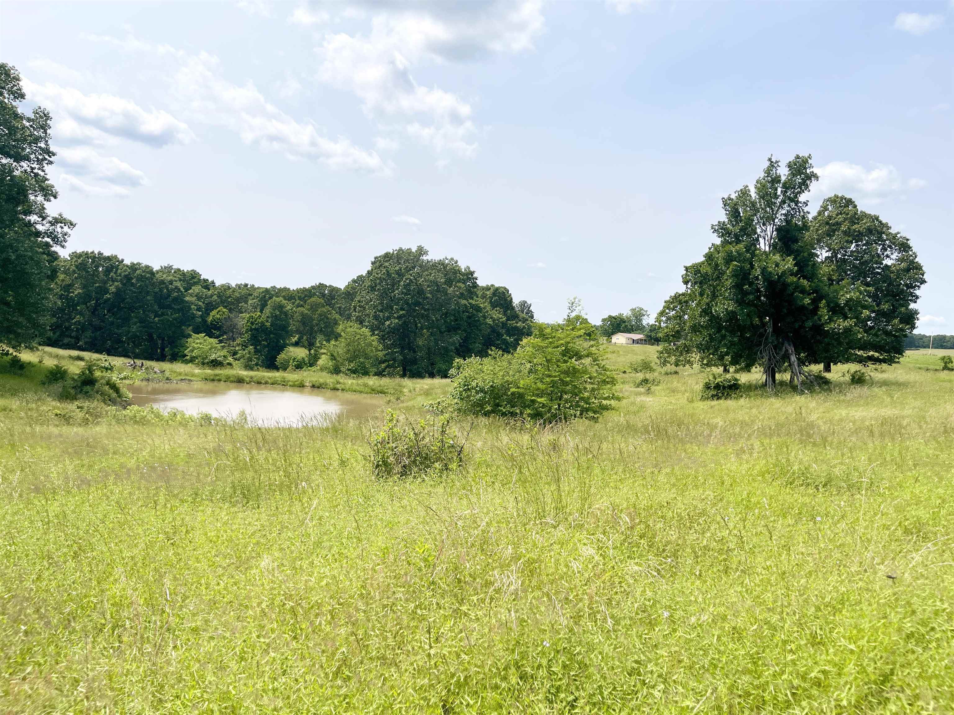 2152  Dove  Gepp, AR