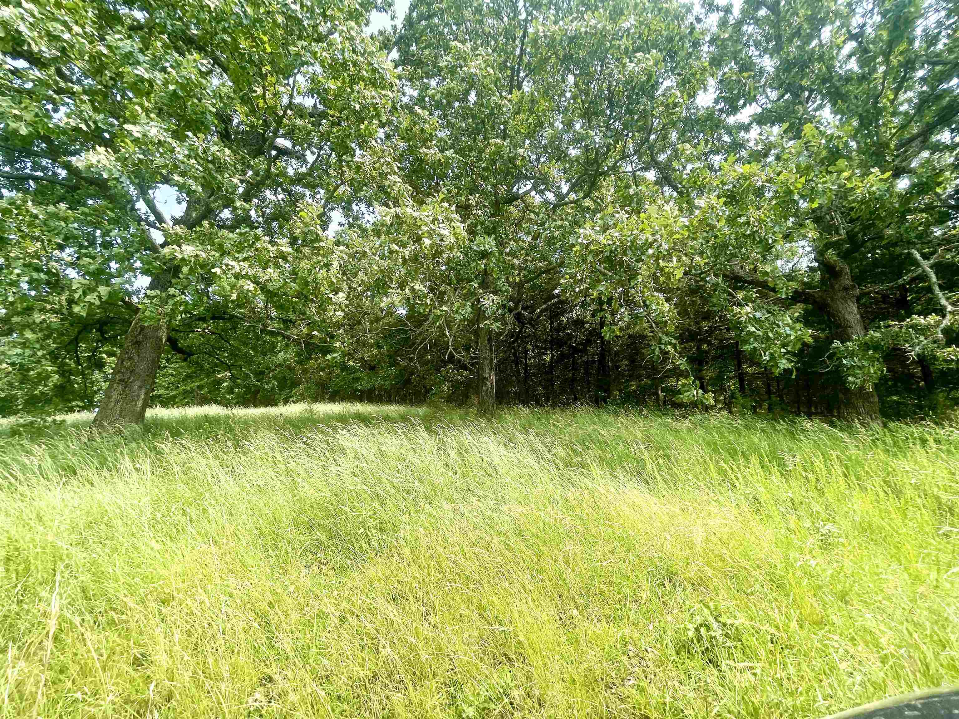2152  Dove  Gepp, AR