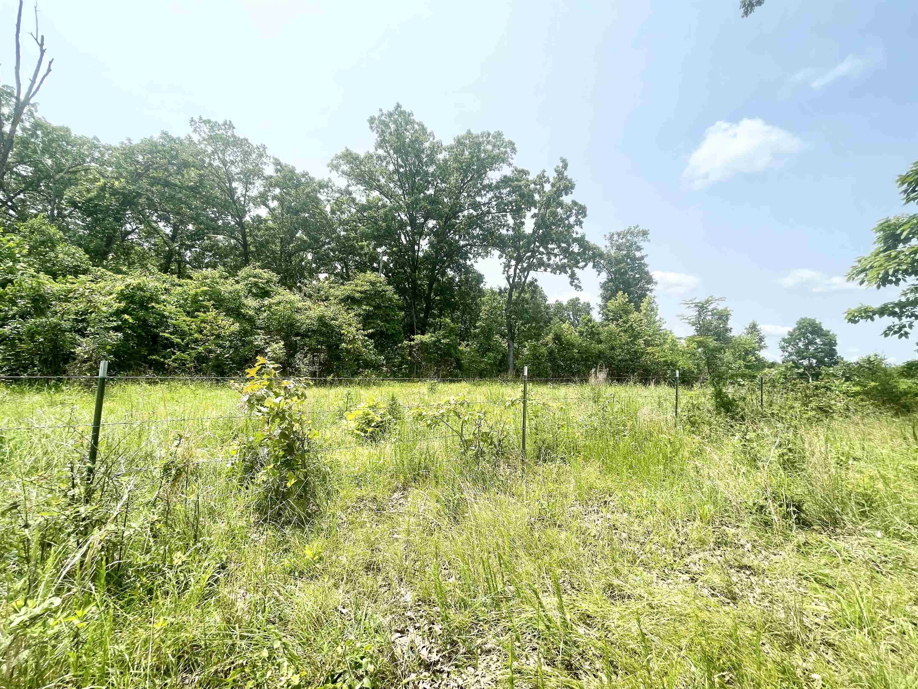 2152  Dove  Gepp, AR