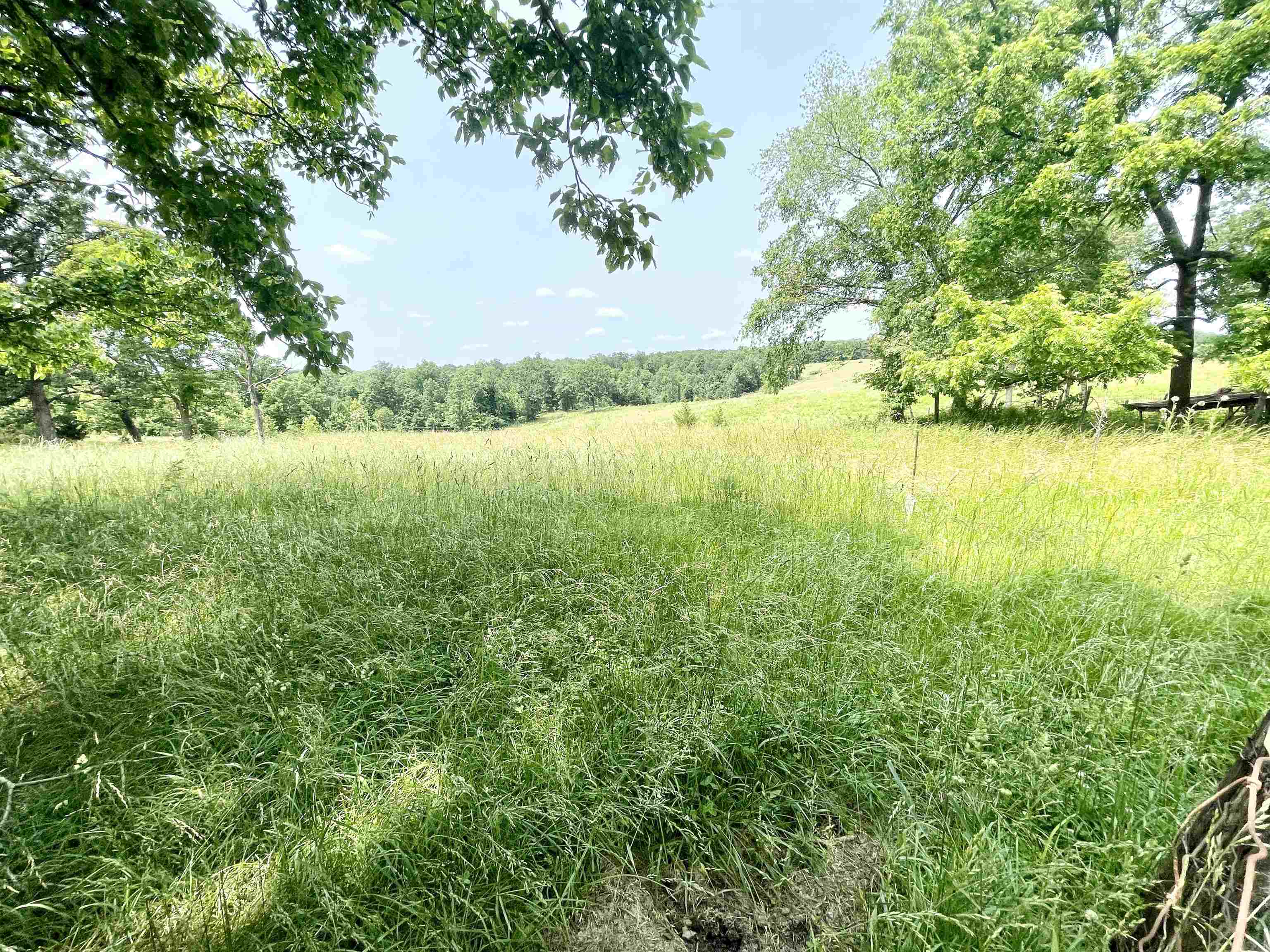 2152  Dove  Gepp, AR