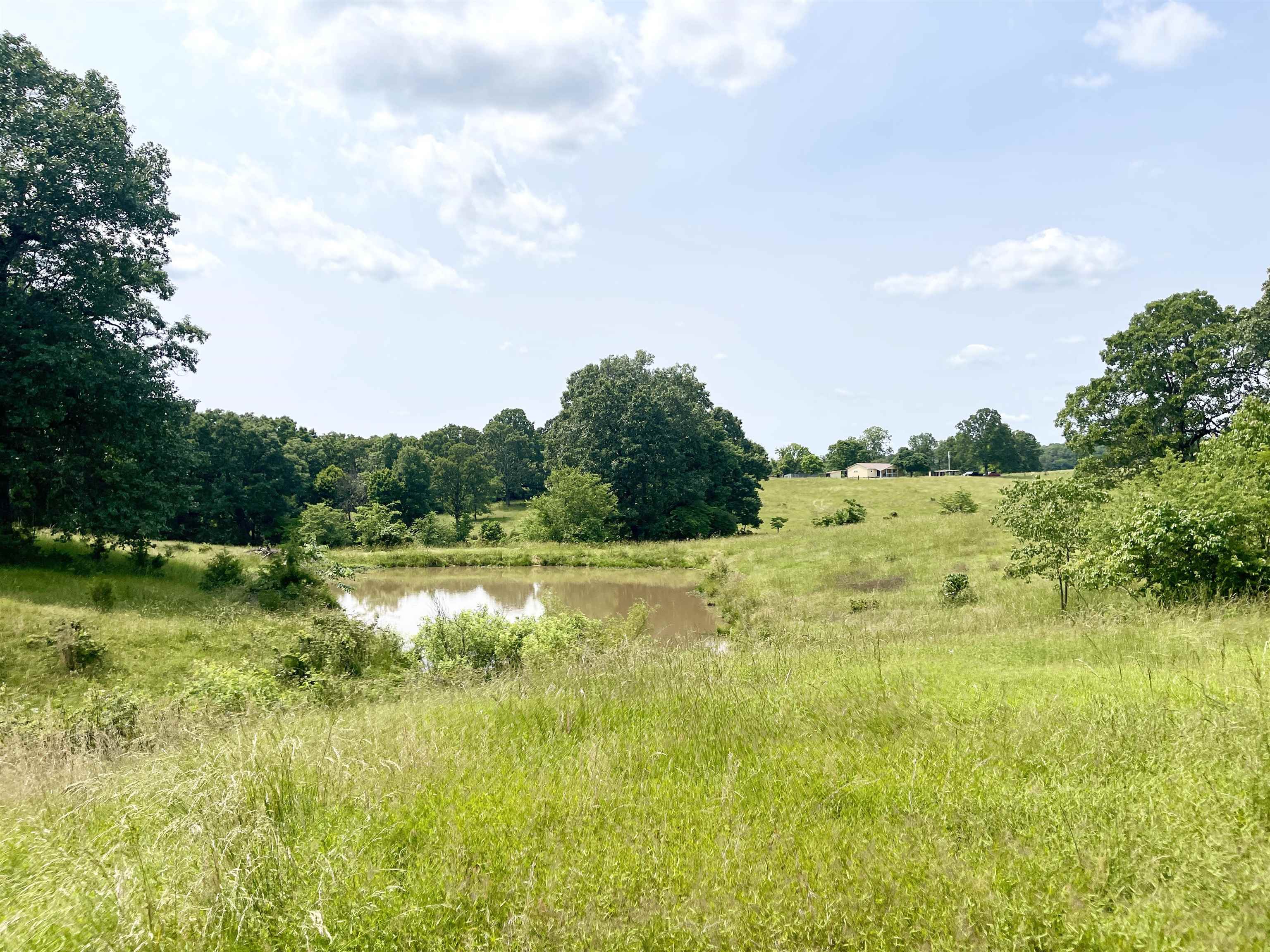 2152  Dove  Gepp, AR