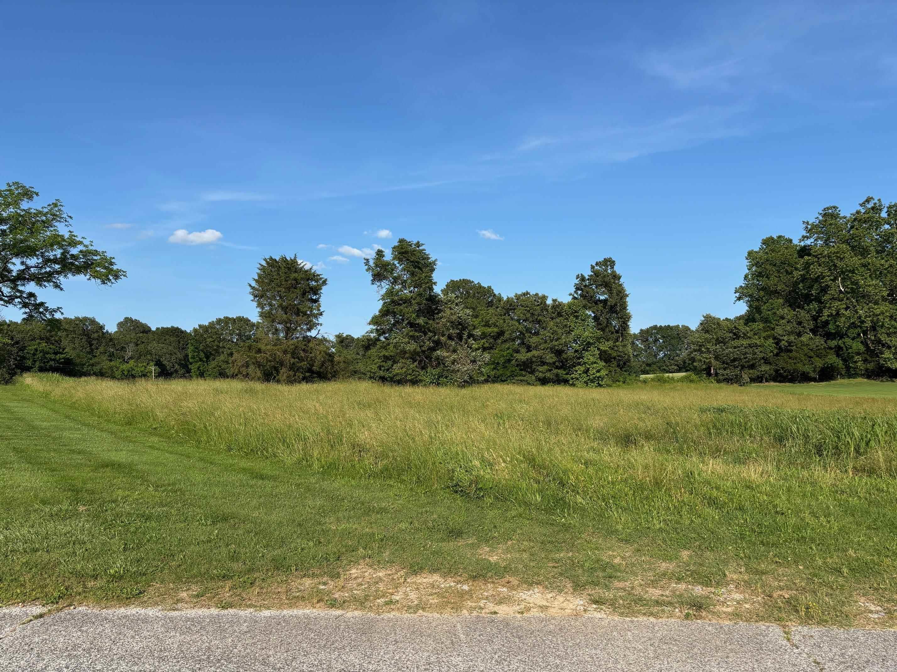 3147  Savannah  Harrison, AR