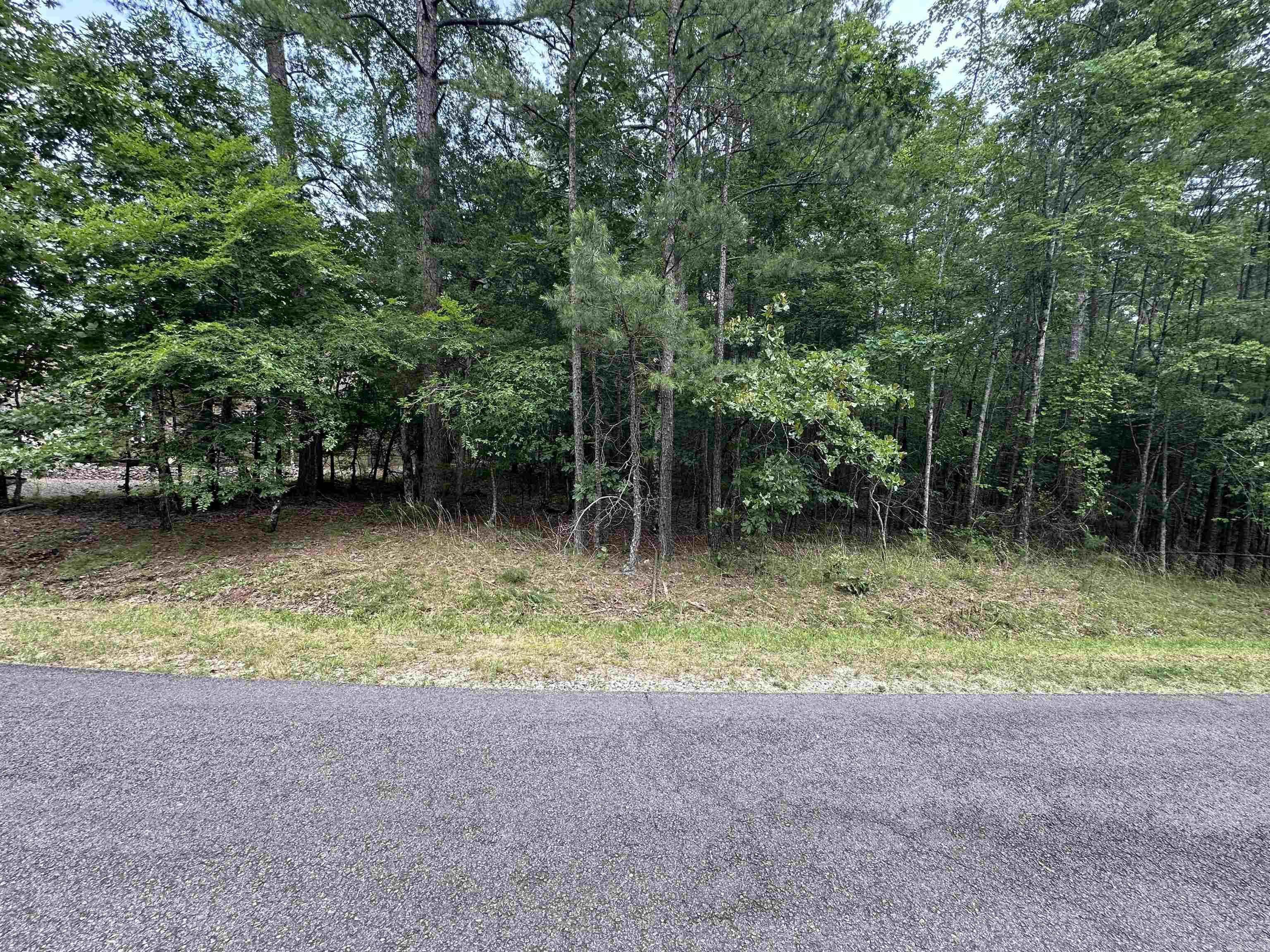 15  Salvatierra  Hot Springs Village, AR
