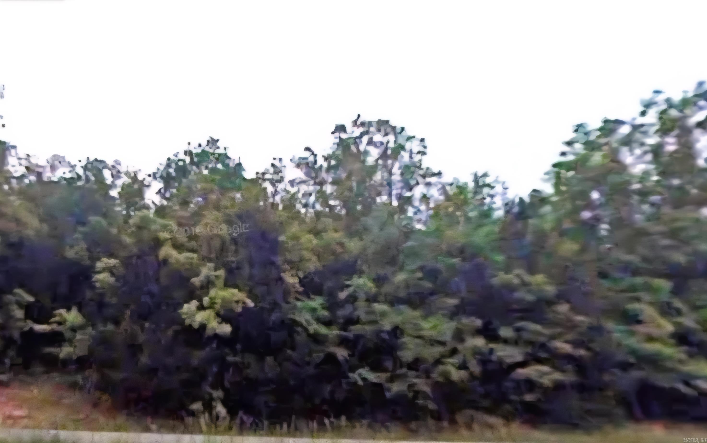 905 S Shore  Horseshoe Bend, AR