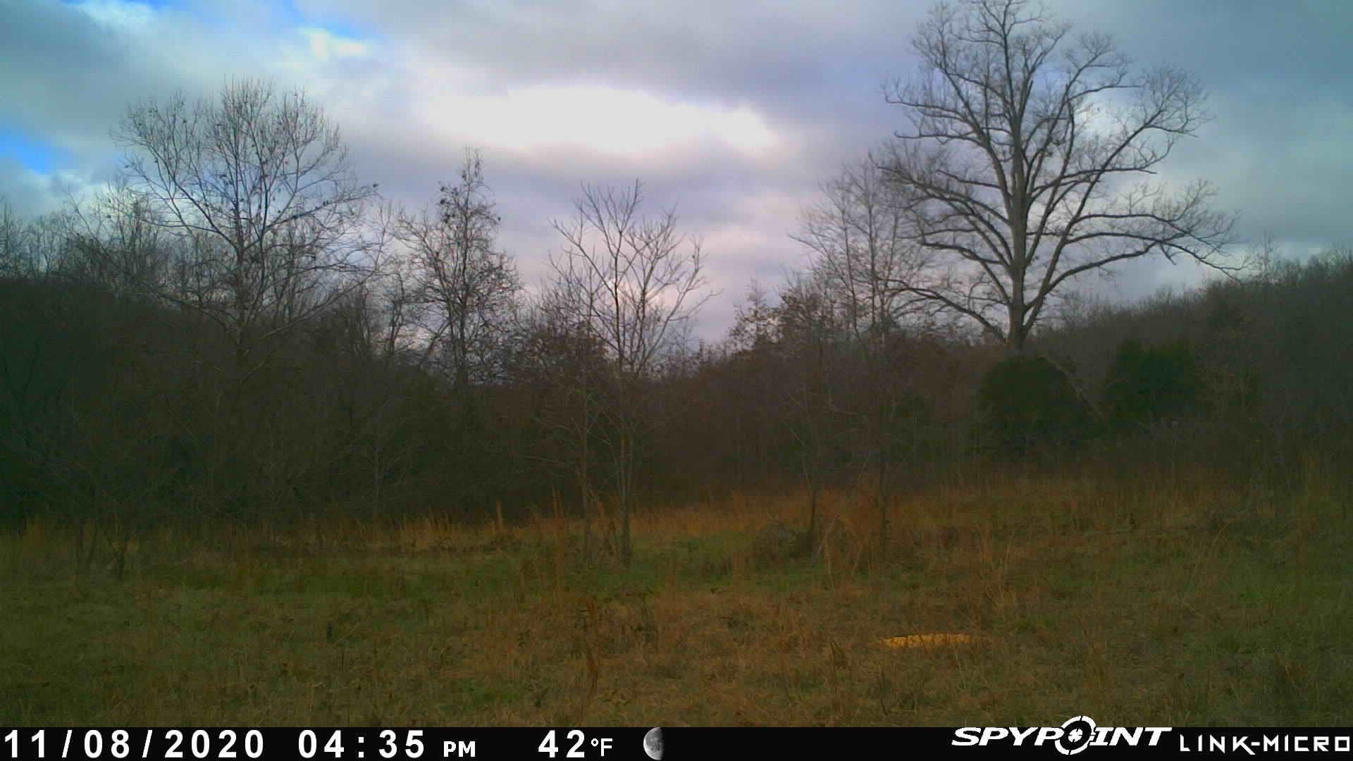   Martin Creek  Williford, AR