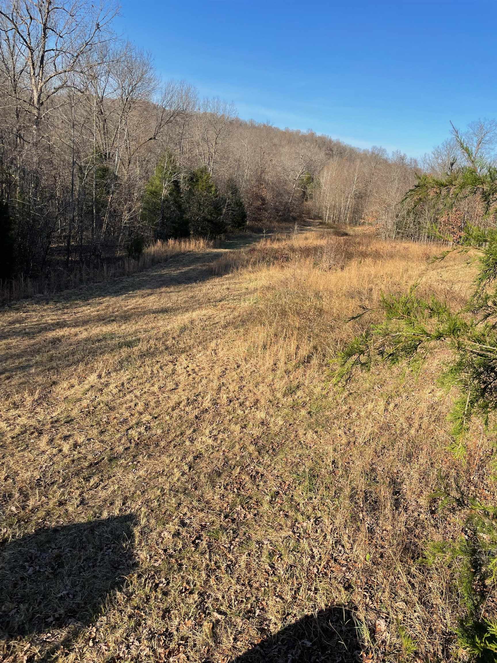   Martin Creek  Williford, AR
