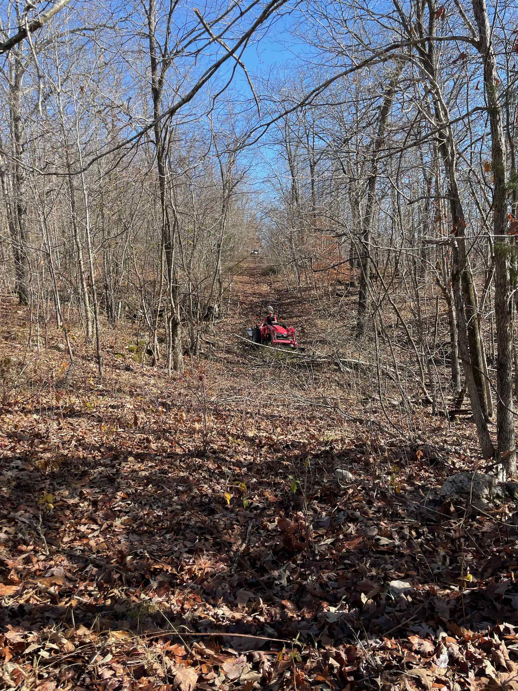   Martin Creek  Williford, AR