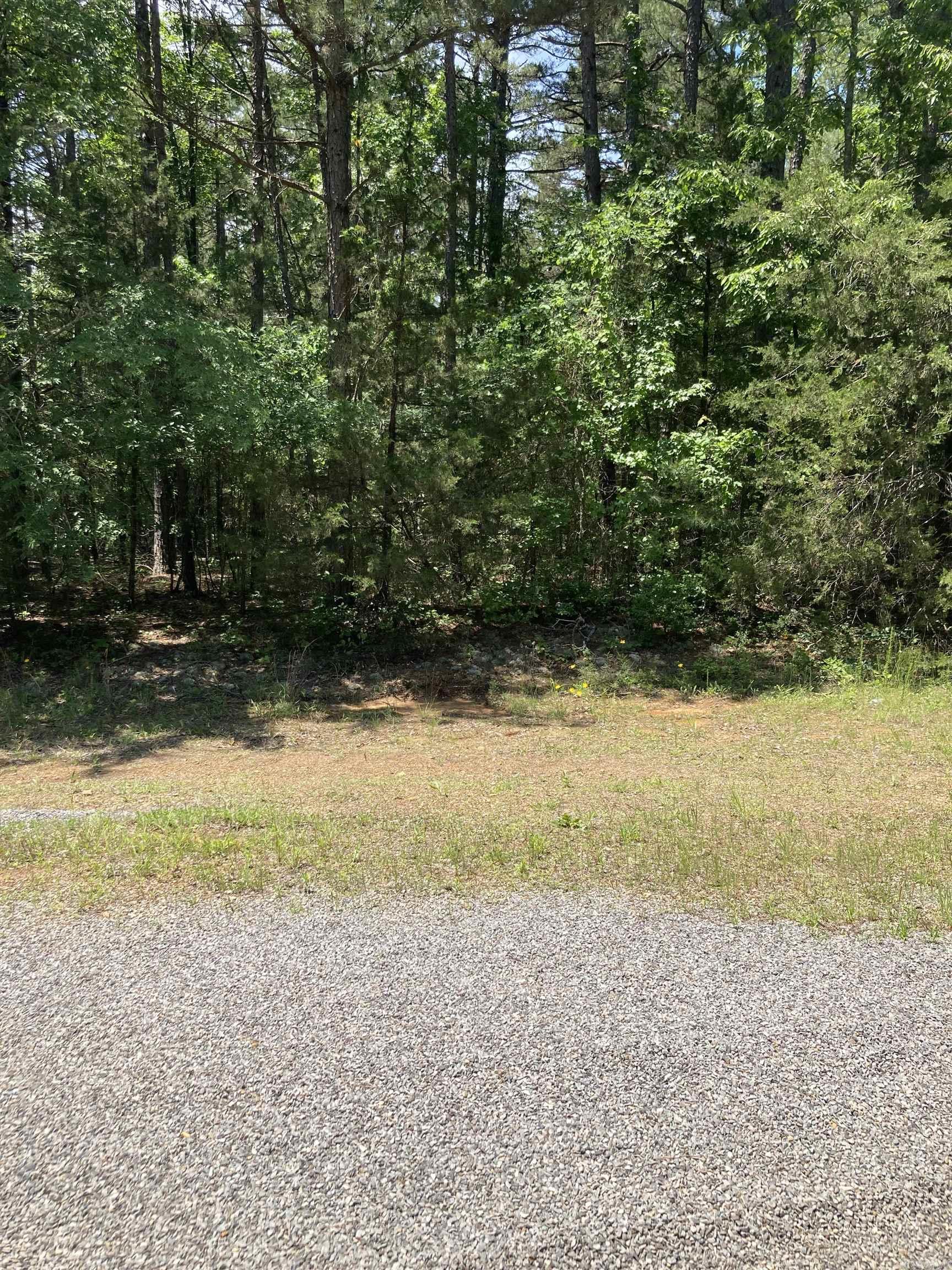 Lot172&173Bk173  Hurst Rd at Ashburn Rd  Fairfield Bay, AR