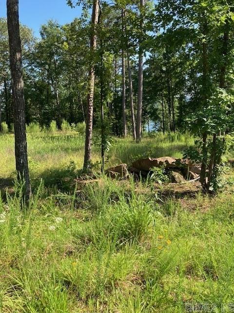 149 Woodland Shores  Clinton, AR