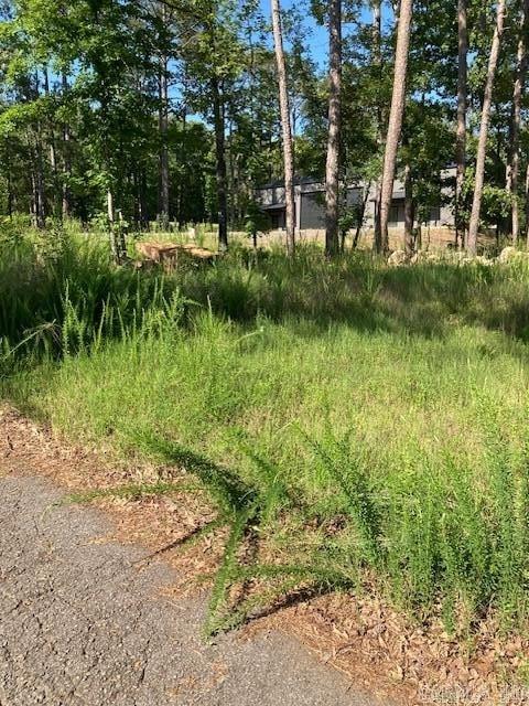 149 Woodland Shores  Clinton, AR