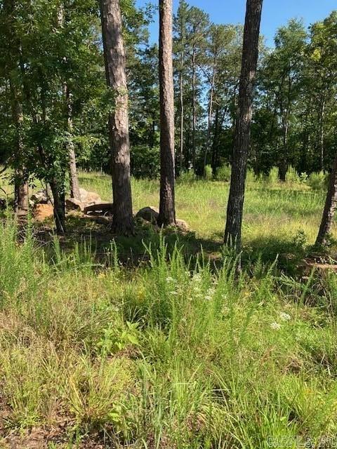 149 Woodland Shores  Clinton, AR