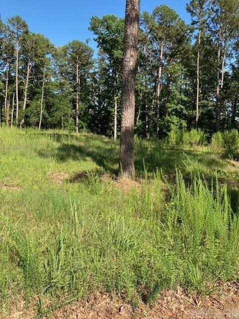 149 Woodland Shores  Clinton, AR