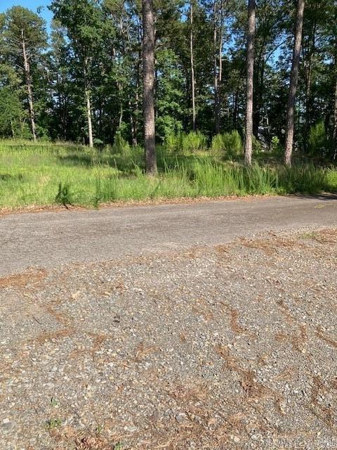 149 Woodland Shores  Clinton, AR