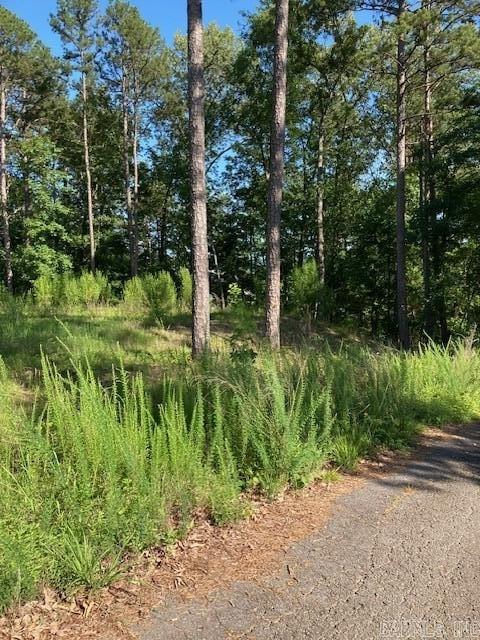 149 Woodland Shores  Clinton, AR