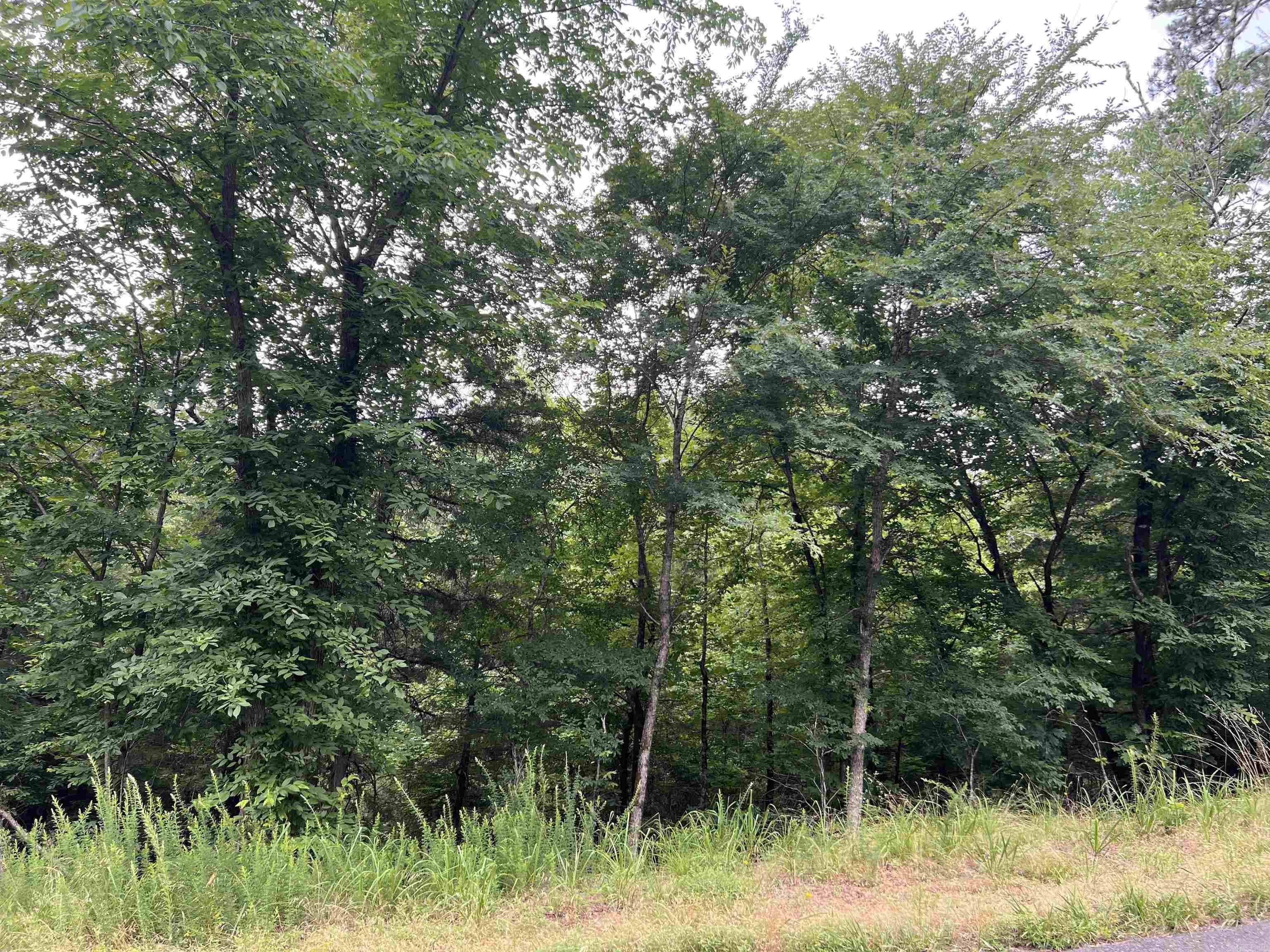 114  Pamplona Way  Hot Springs Village, AR
