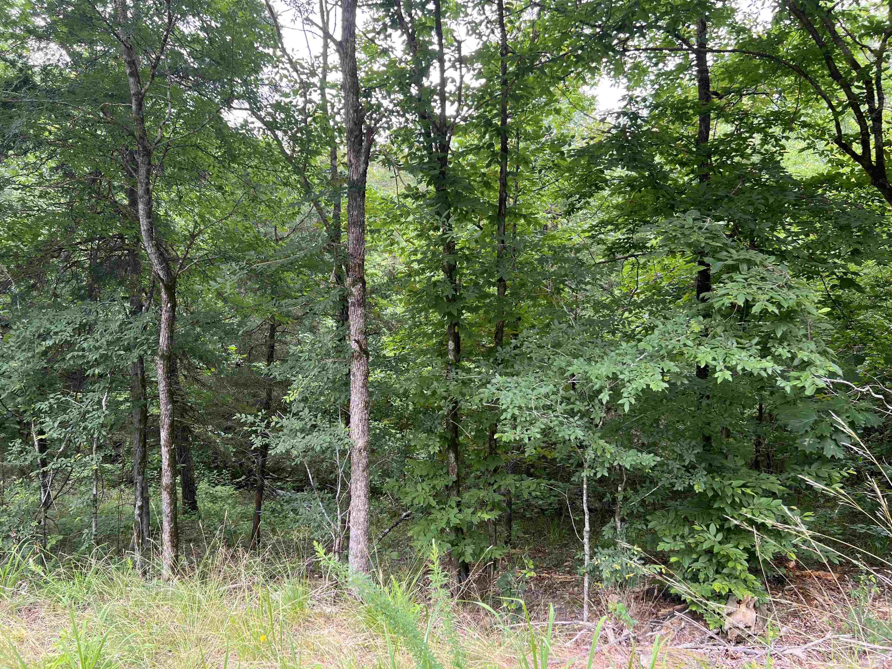 114  Pamplona Way  Hot Springs Village, AR