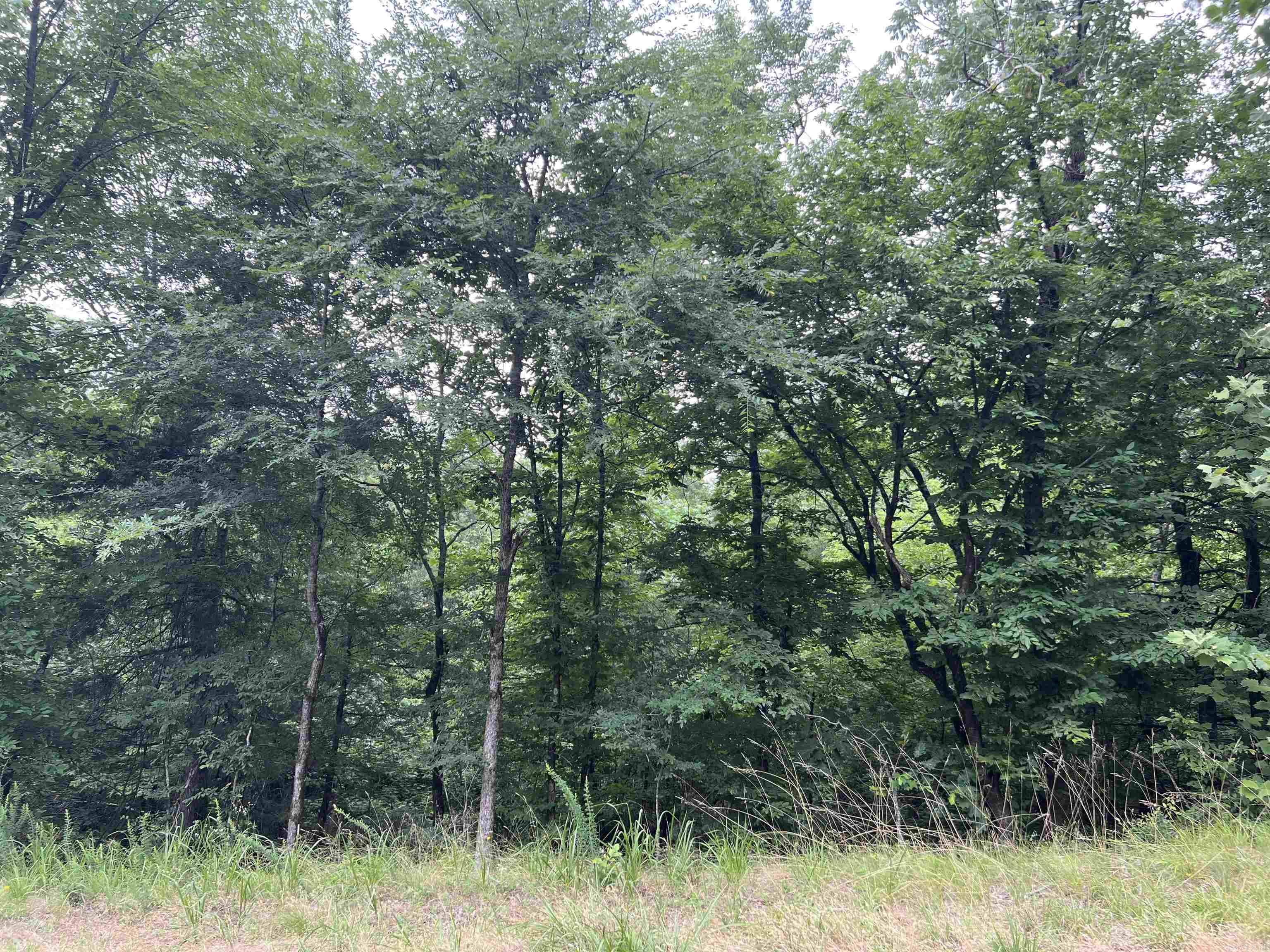 114  Pamplona Way  Hot Springs Village, AR