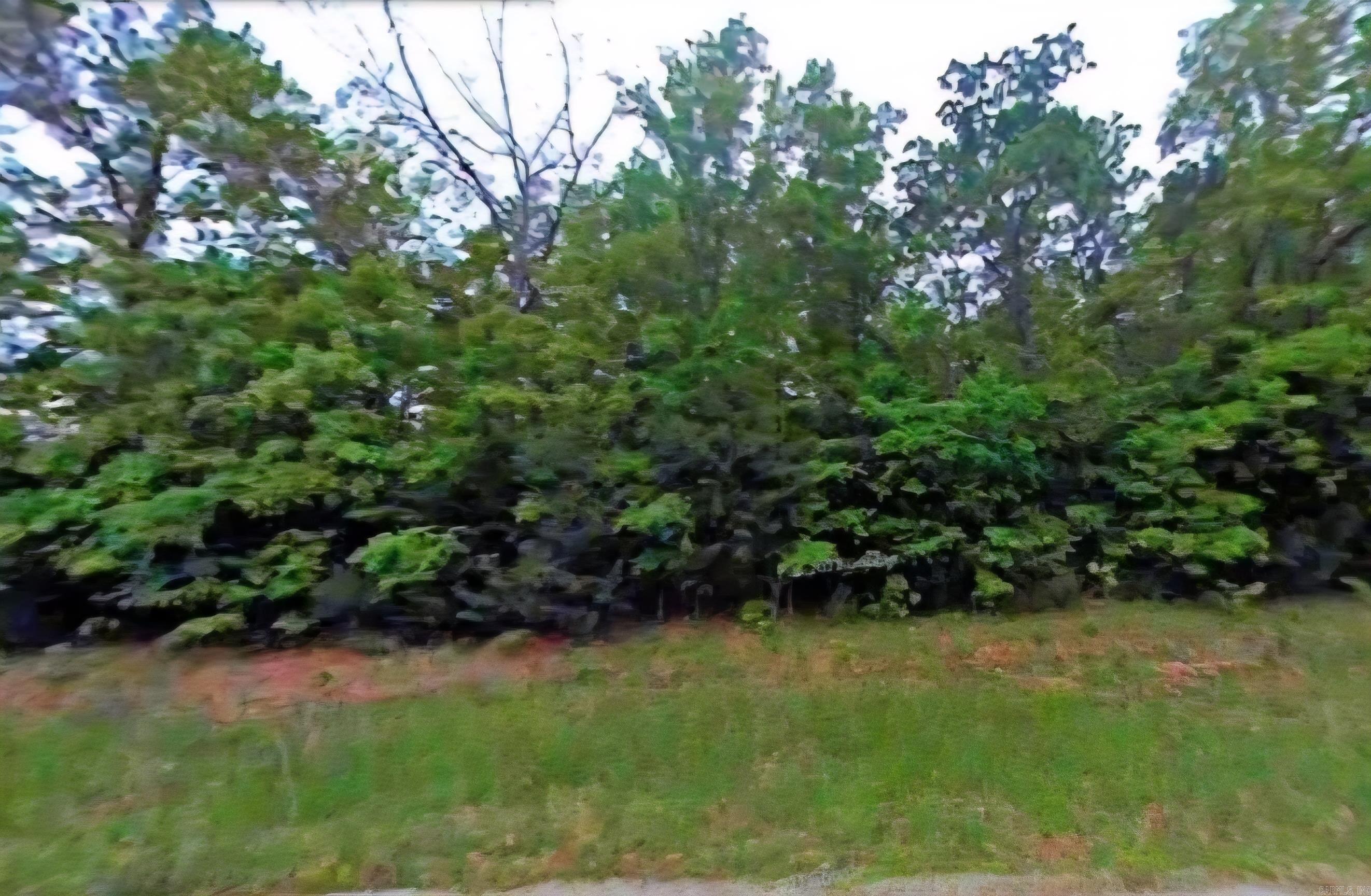 2601 S Shore  Horseshoe Bend, AR