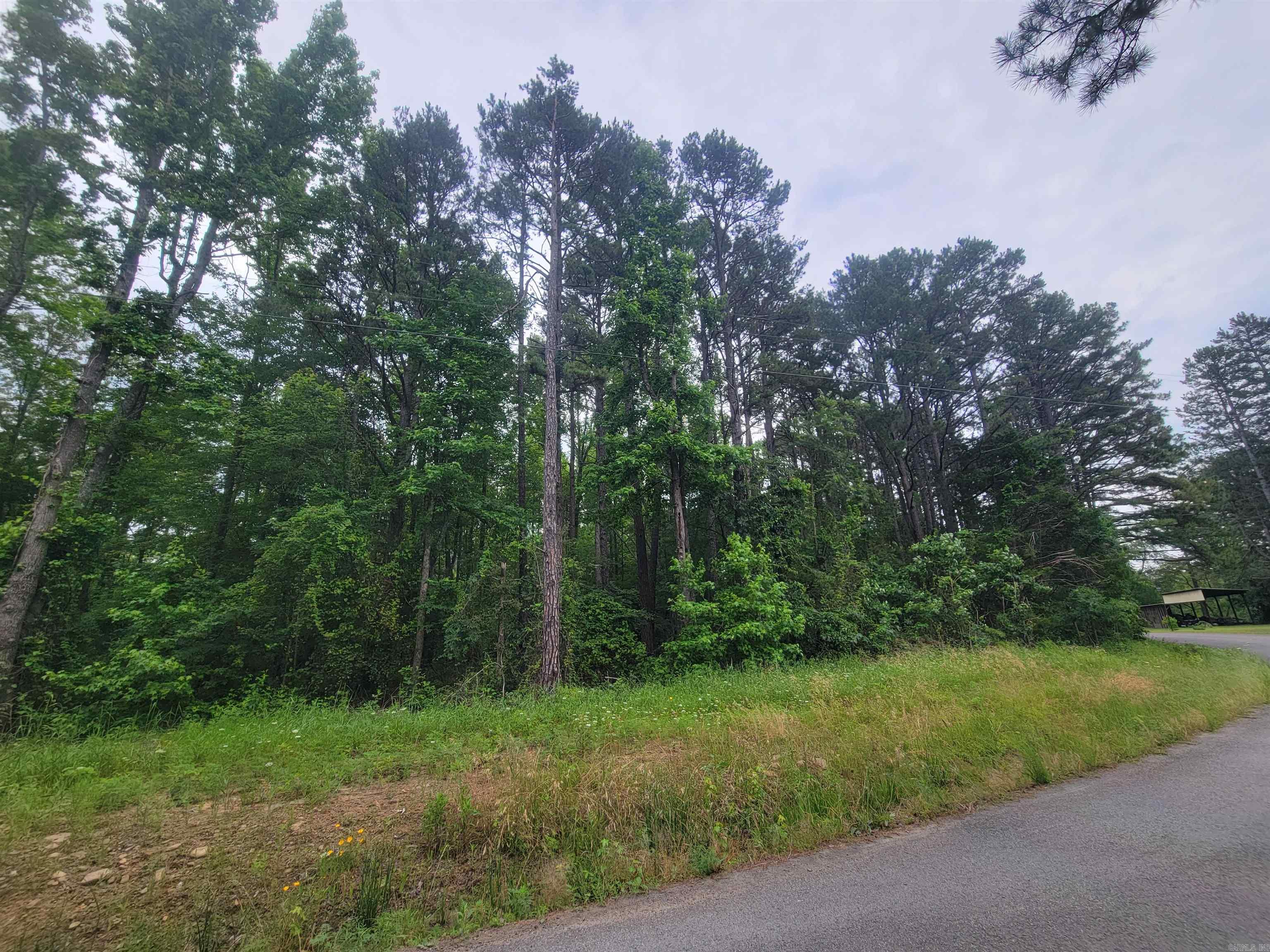 266  Mariposa  Bee Branch, AR