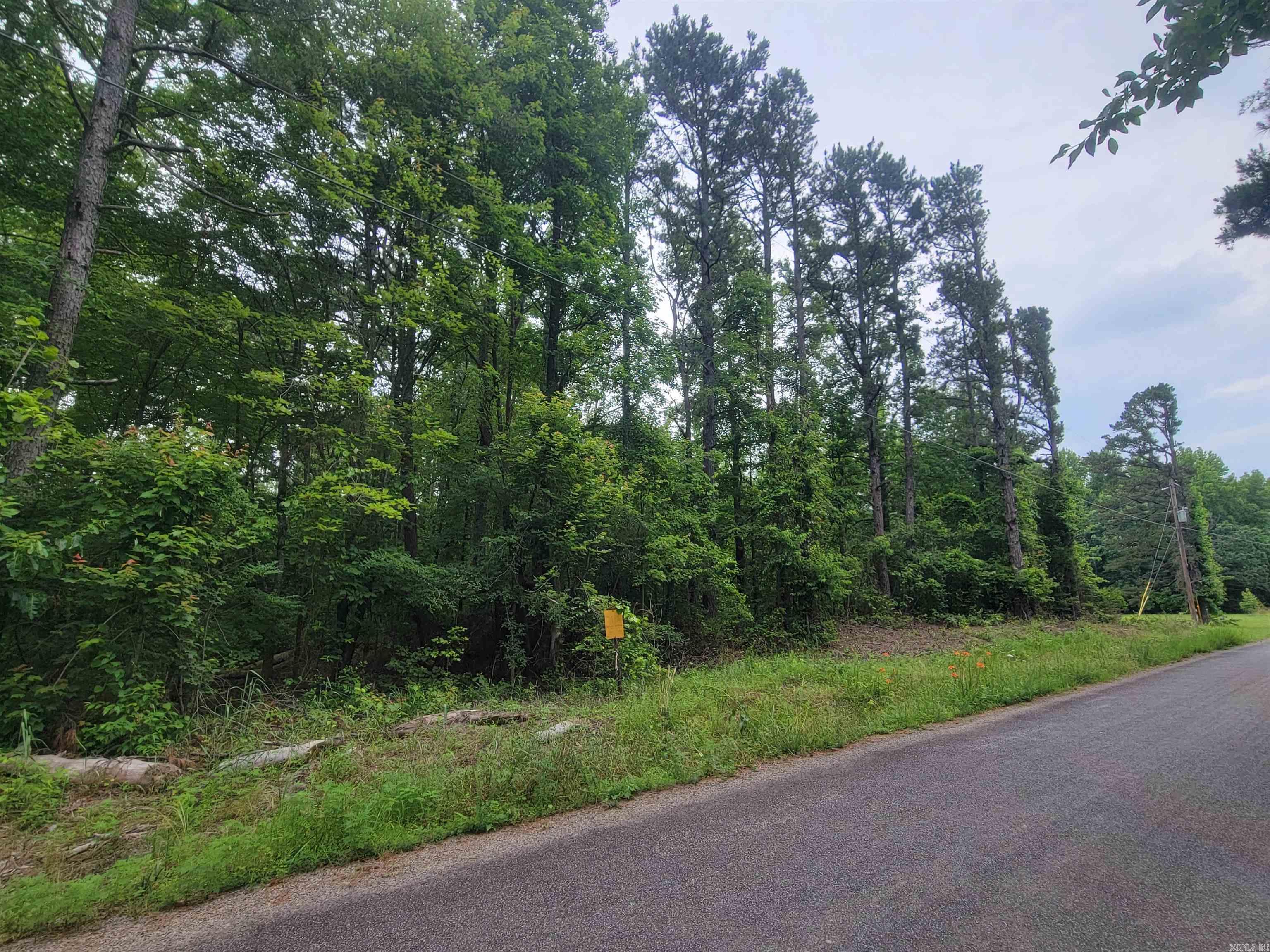 266  Mariposa  Bee Branch, AR