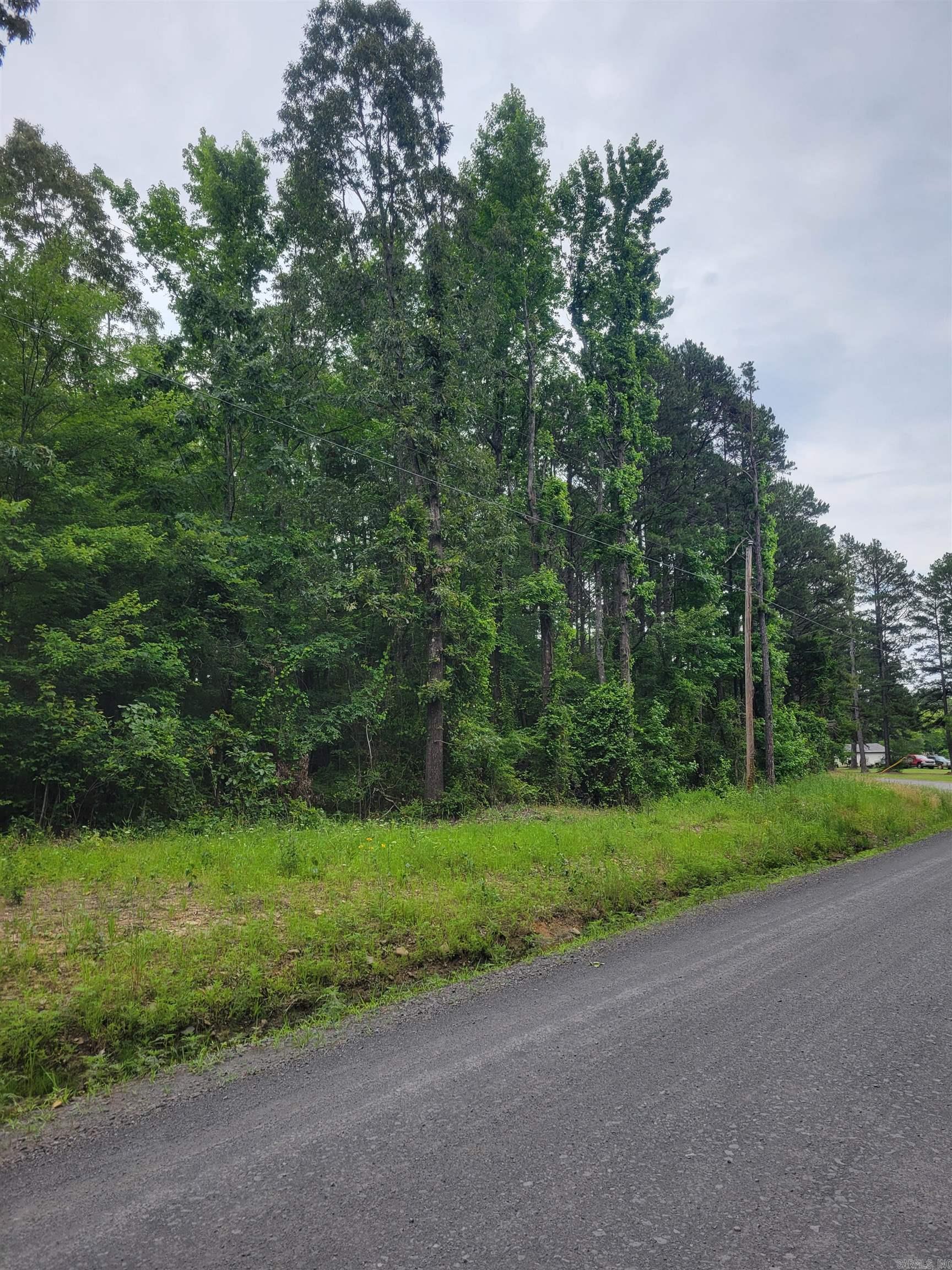 266  Mariposa  Bee Branch, AR