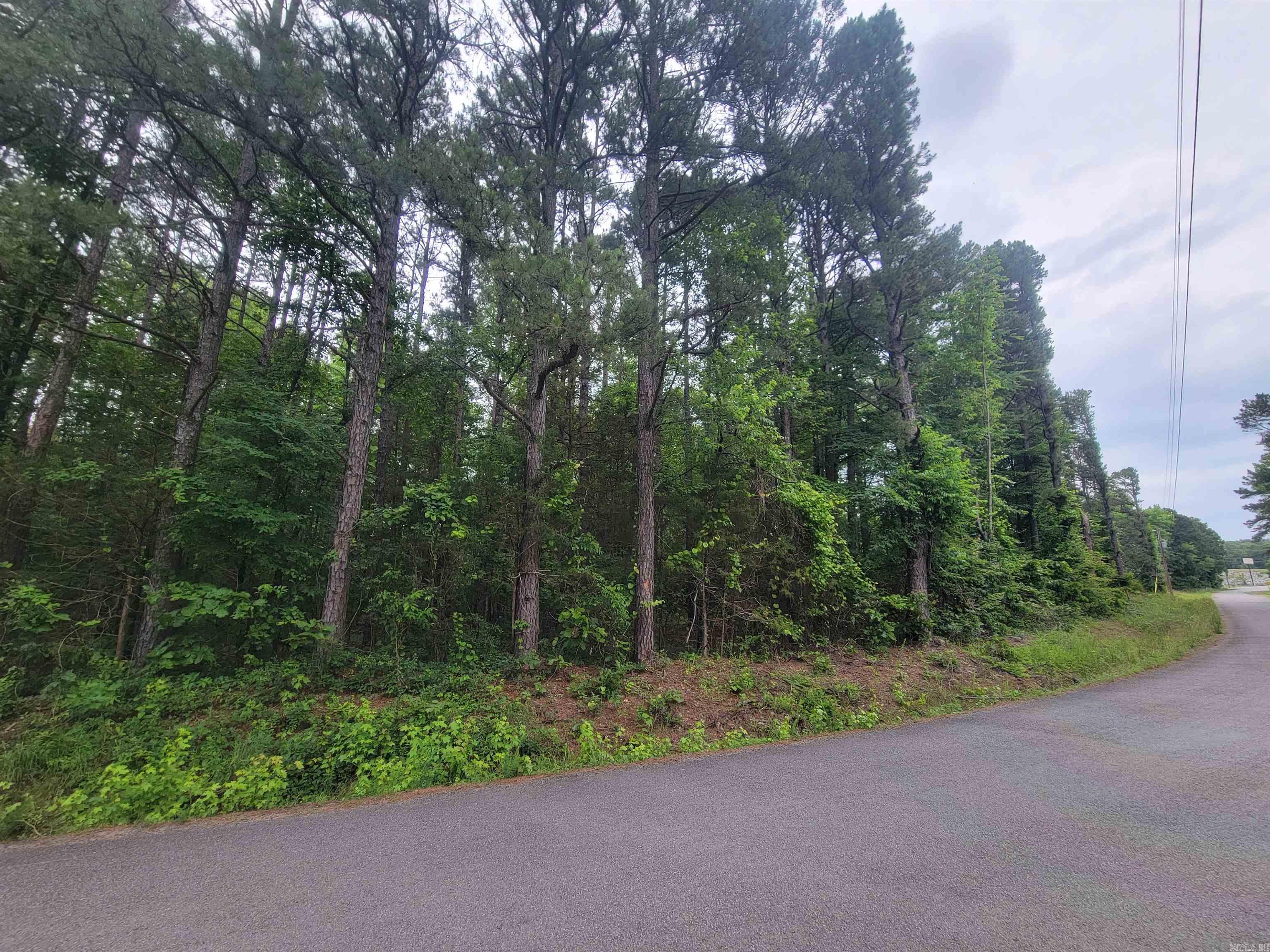 266  Mariposa  Bee Branch, AR