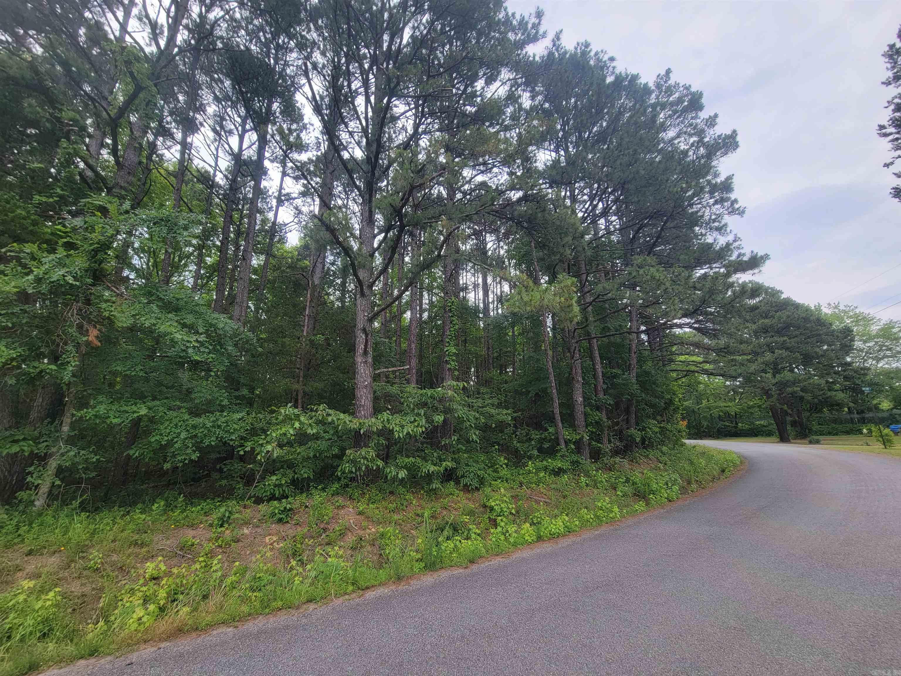 266  Mariposa  Bee Branch, AR