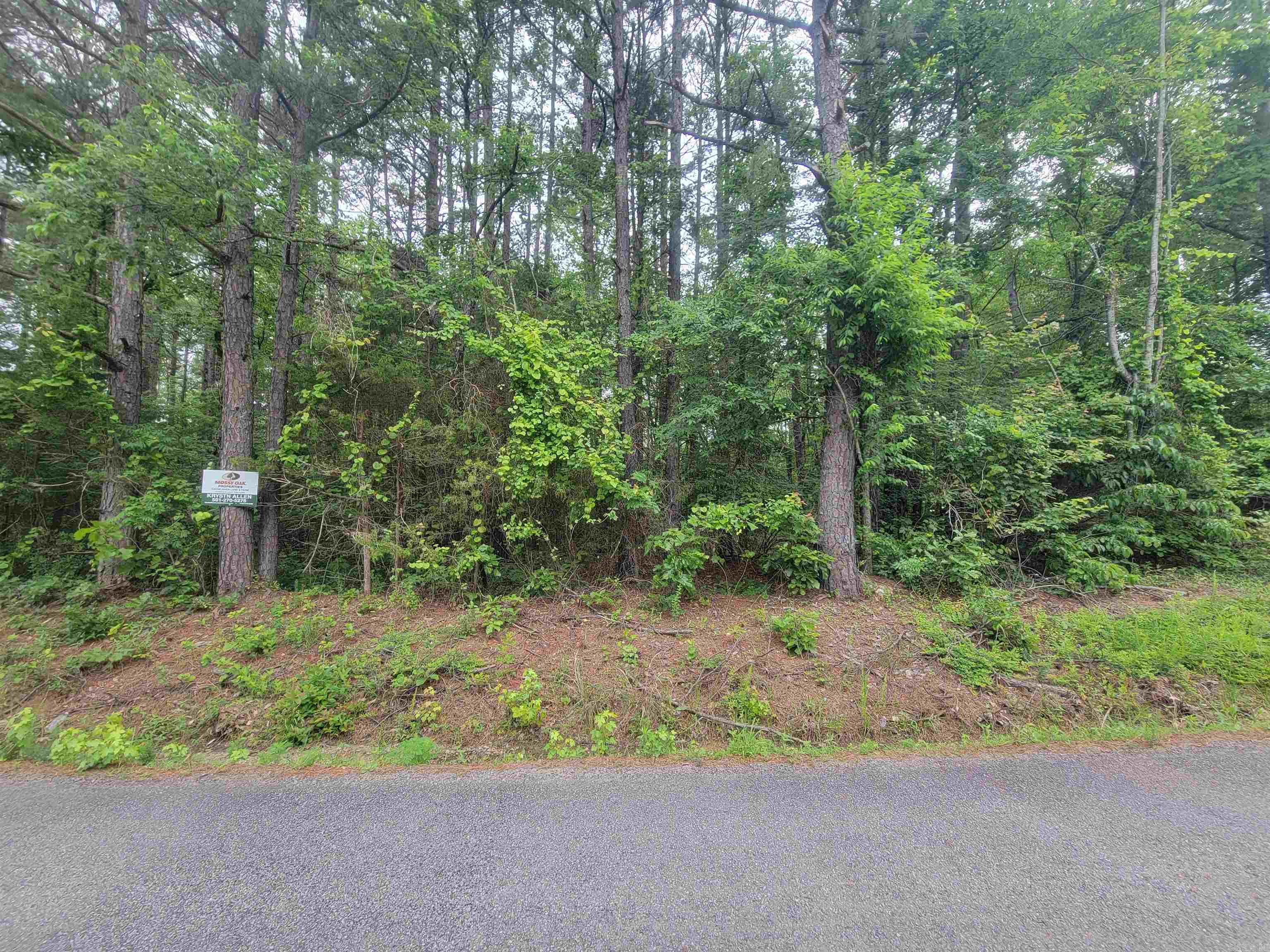 266  Mariposa  Bee Branch, AR