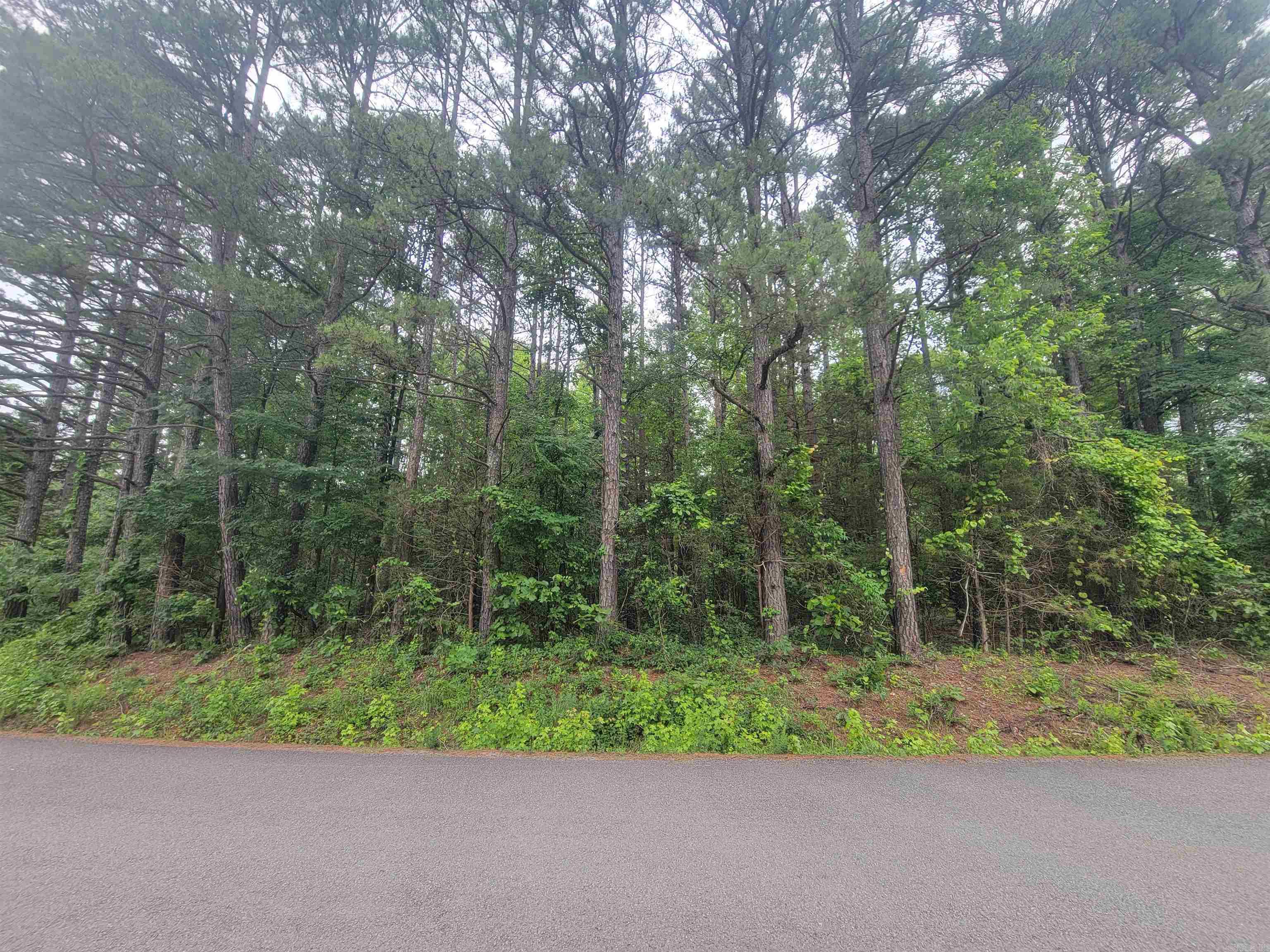266  Mariposa  Bee Branch, AR