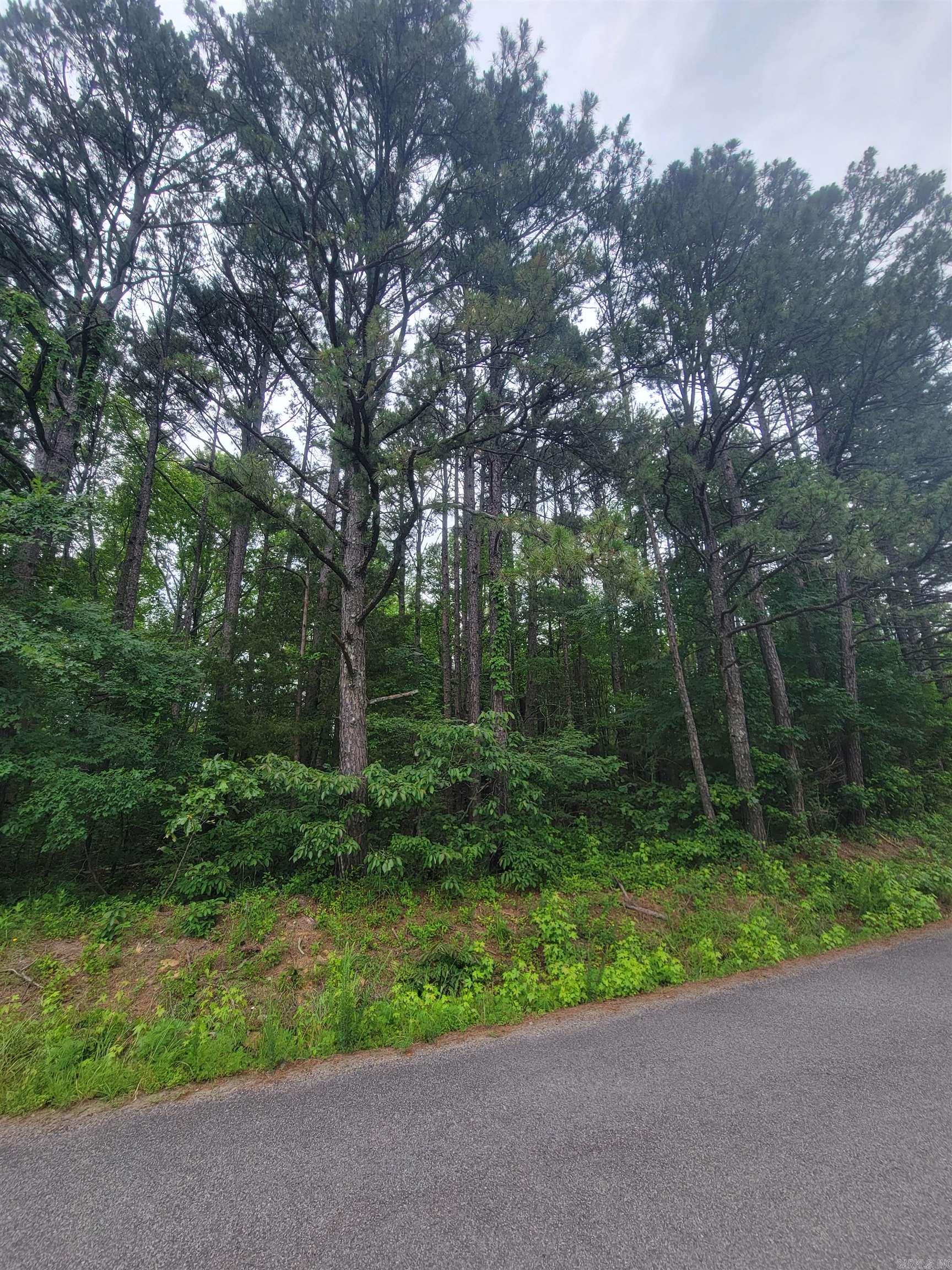 266  Mariposa  Bee Branch, AR