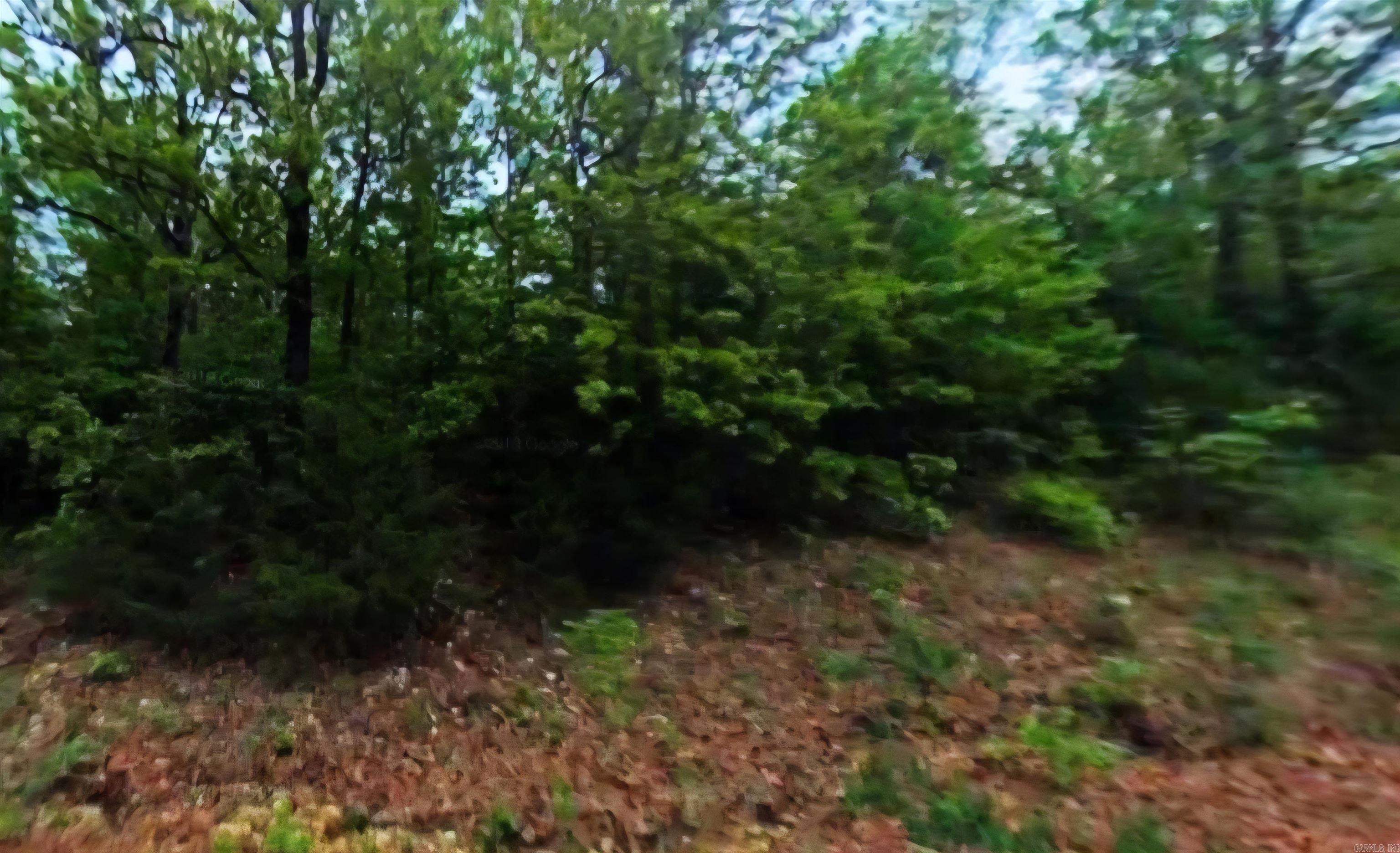 1302  Edgewater  Horseshoe Bend, AR