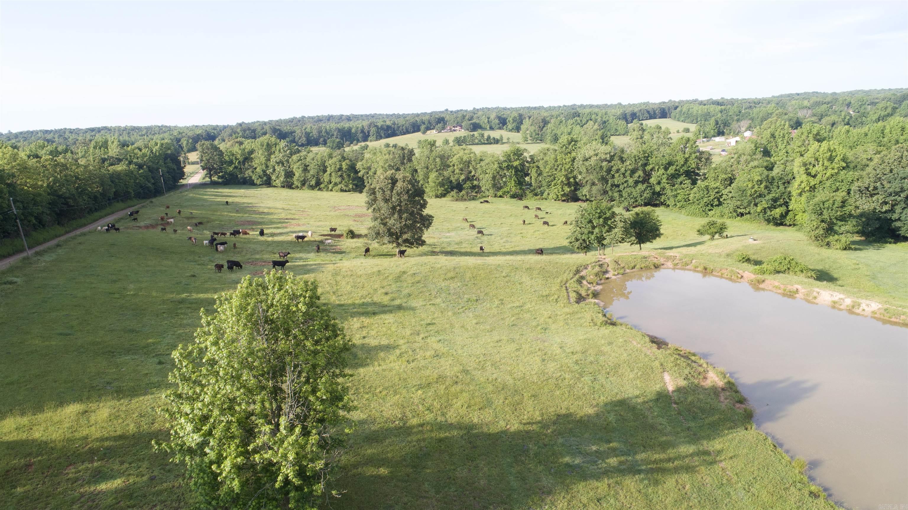   County Road 461  Pollard, AR