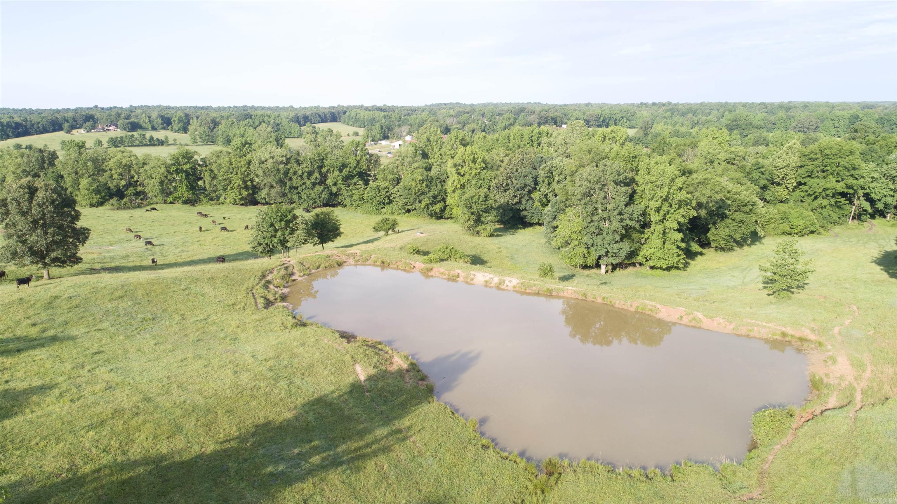   County Road 461  Pollard, AR