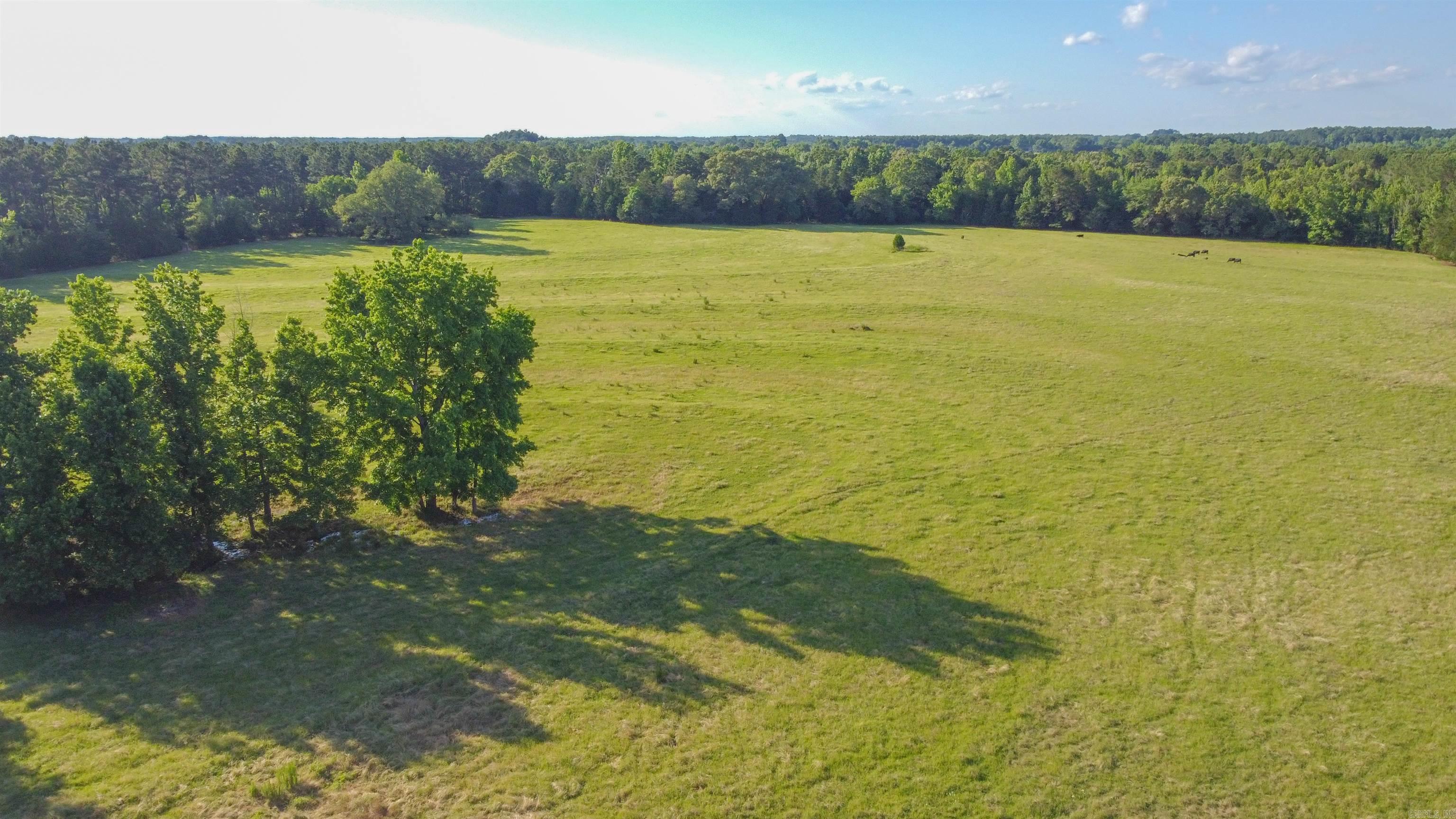 TBD  CR 4673  Atlanta, TX