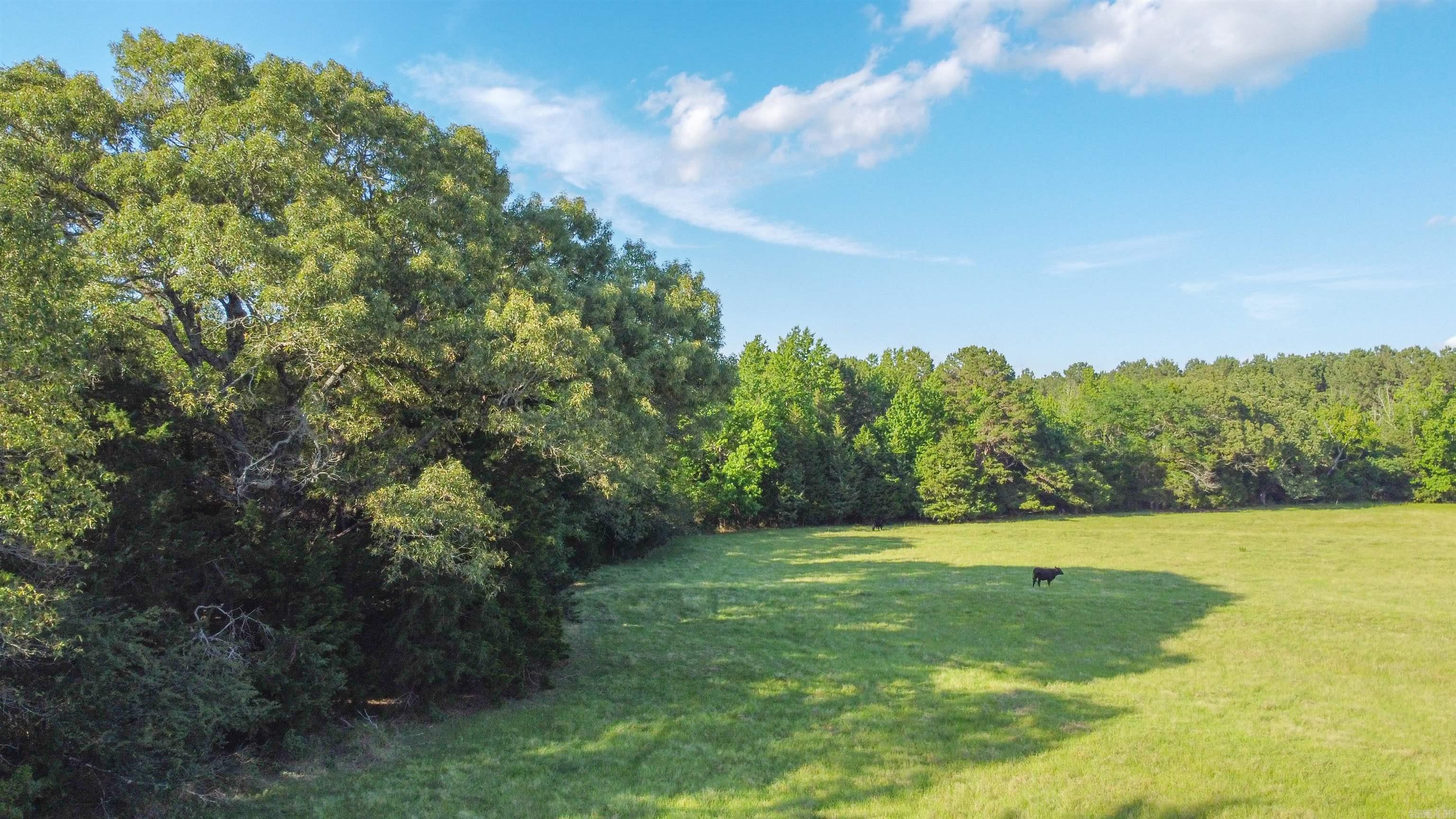 TBD  CR 4673  Atlanta, TX