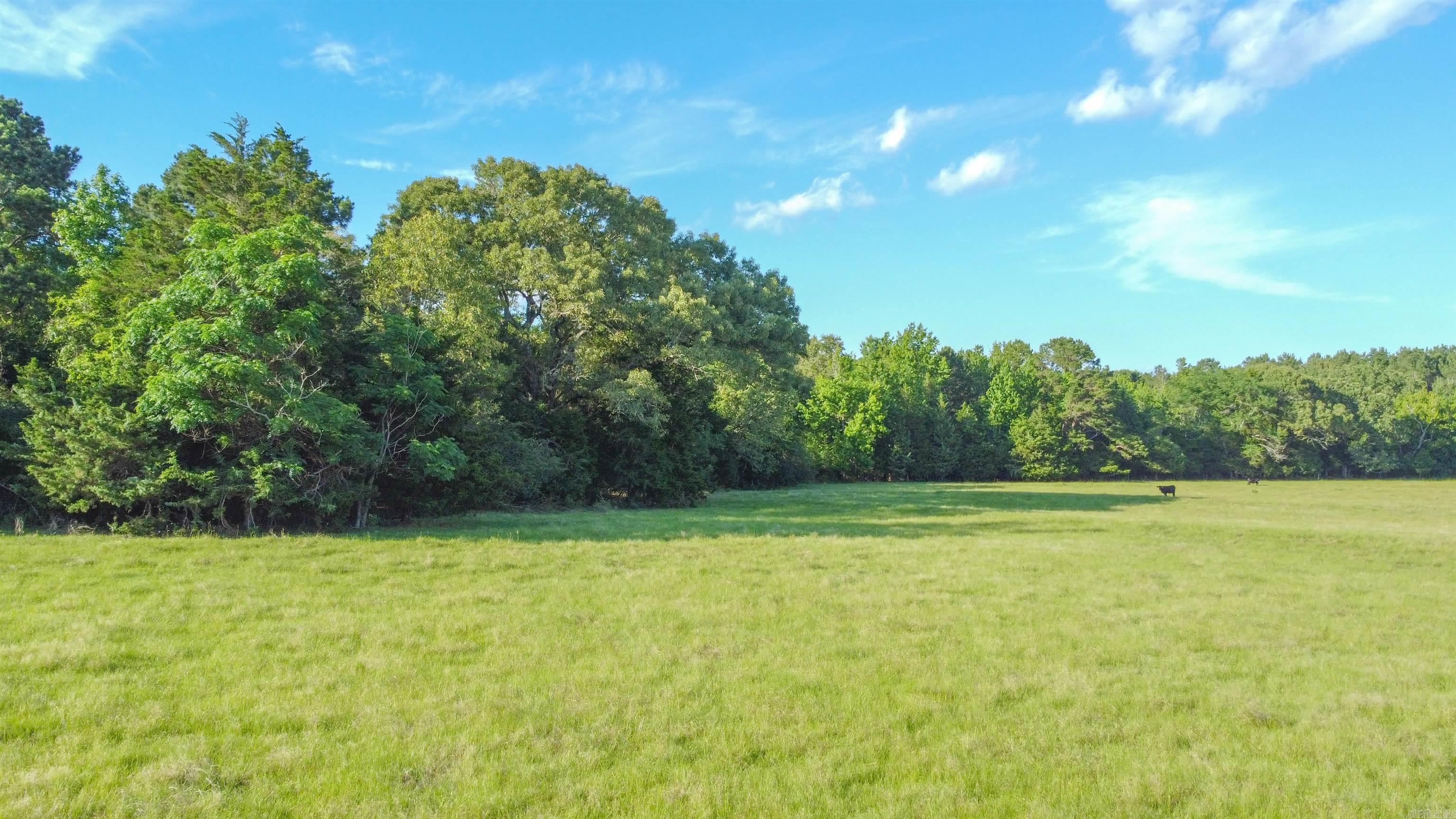 TBD  CR 4673  Atlanta, TX