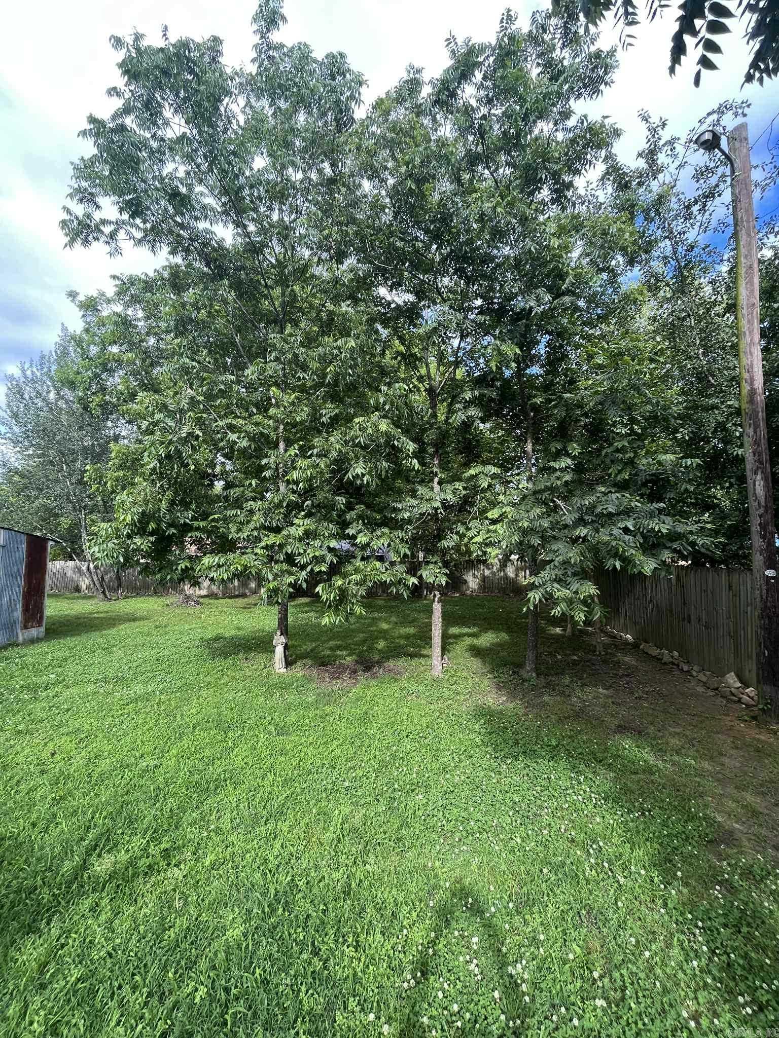 305  Gann St  Mena, AR