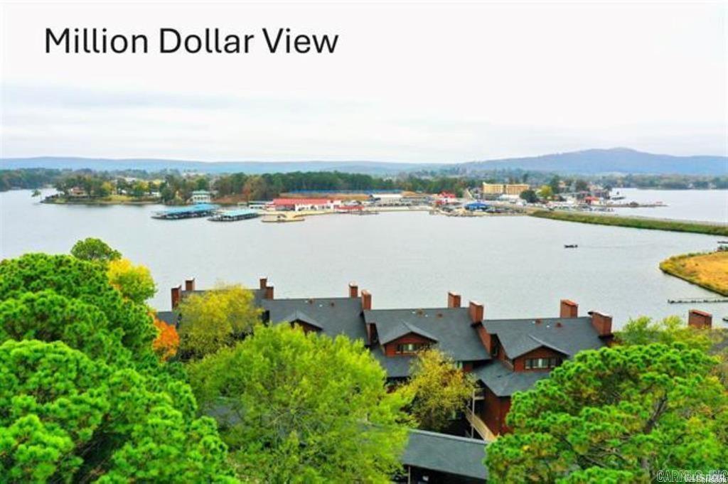 142  Lake Hamilton  Hot Springs, AR
