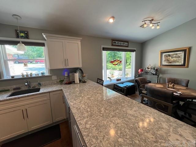 13  Atrayente  Hot Springs Village, AR