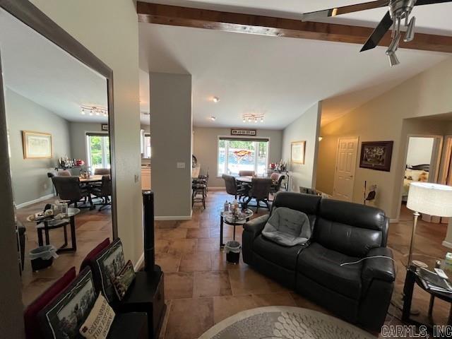 13  Atrayente  Hot Springs Village, AR