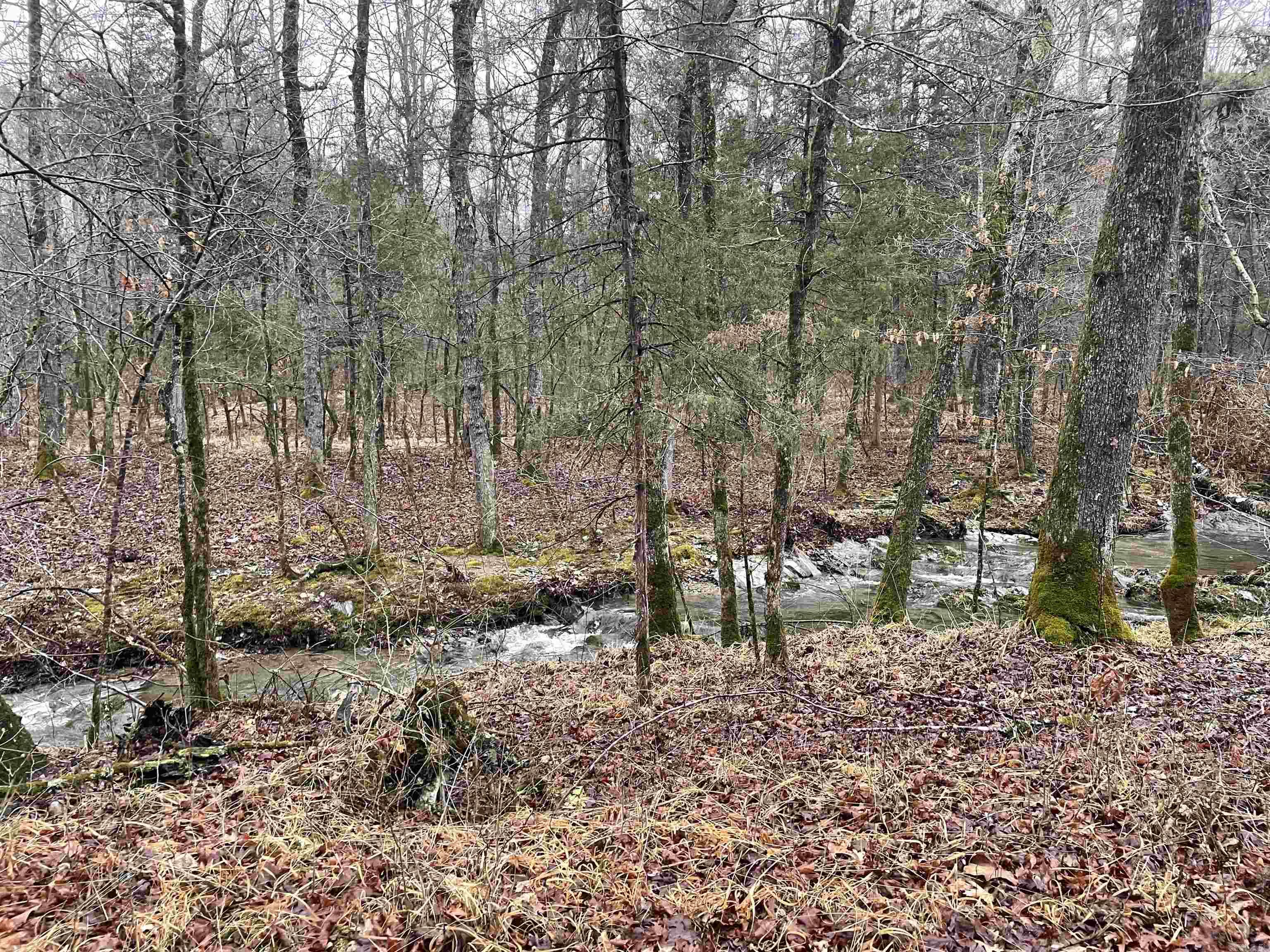 137  Bucksnort Lane  Mena, AR