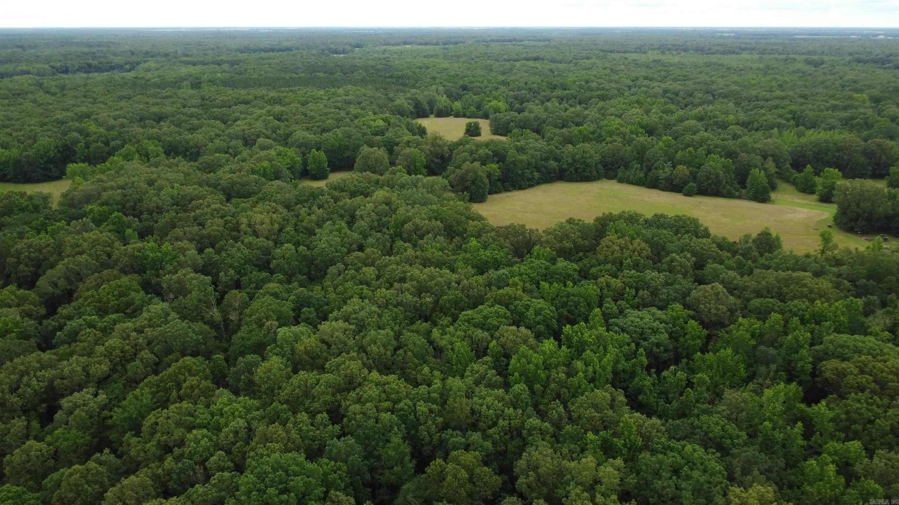   BUTLER LN  DeWitt, AR
