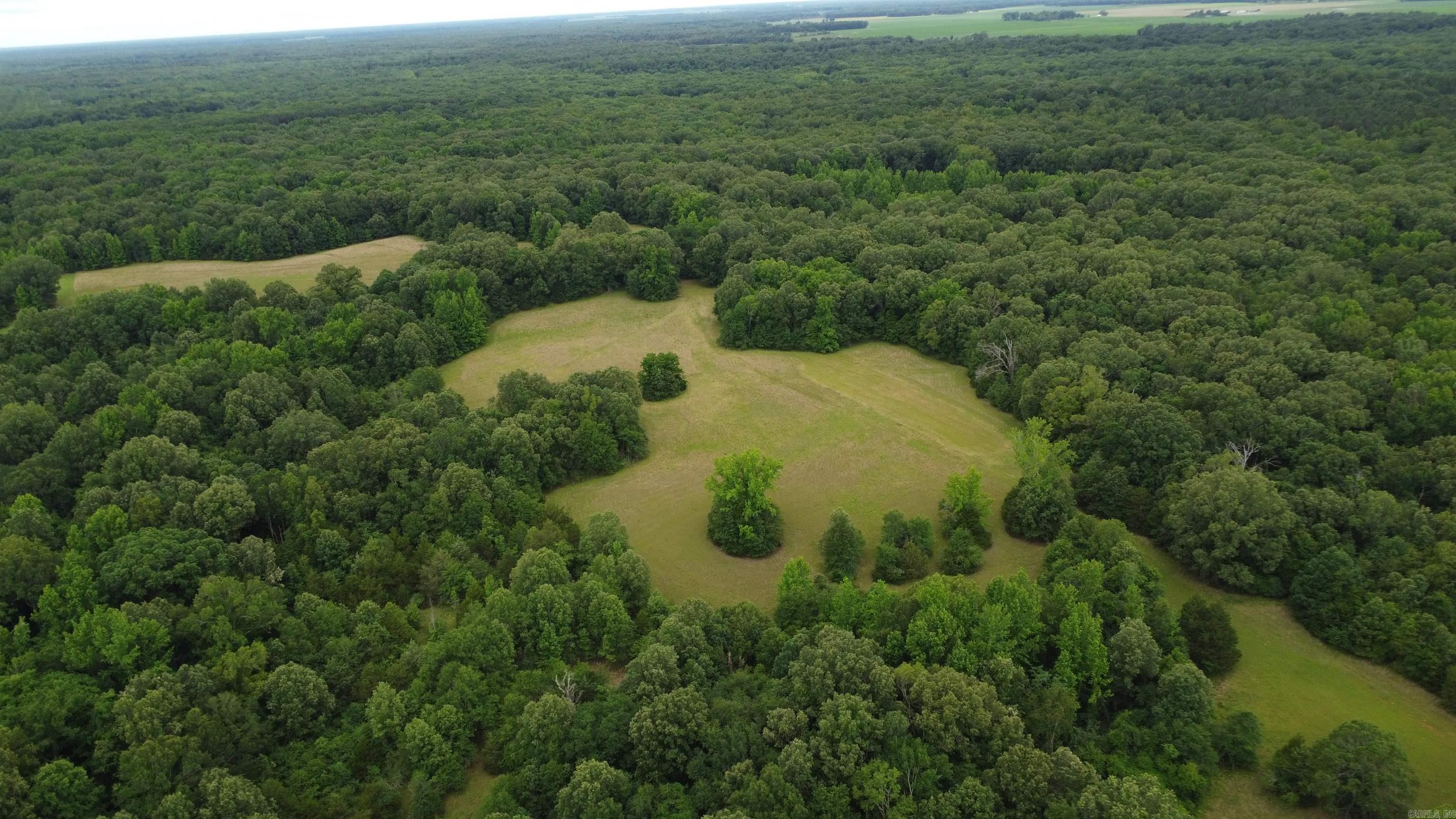   BUTLER LN  DeWitt, AR
