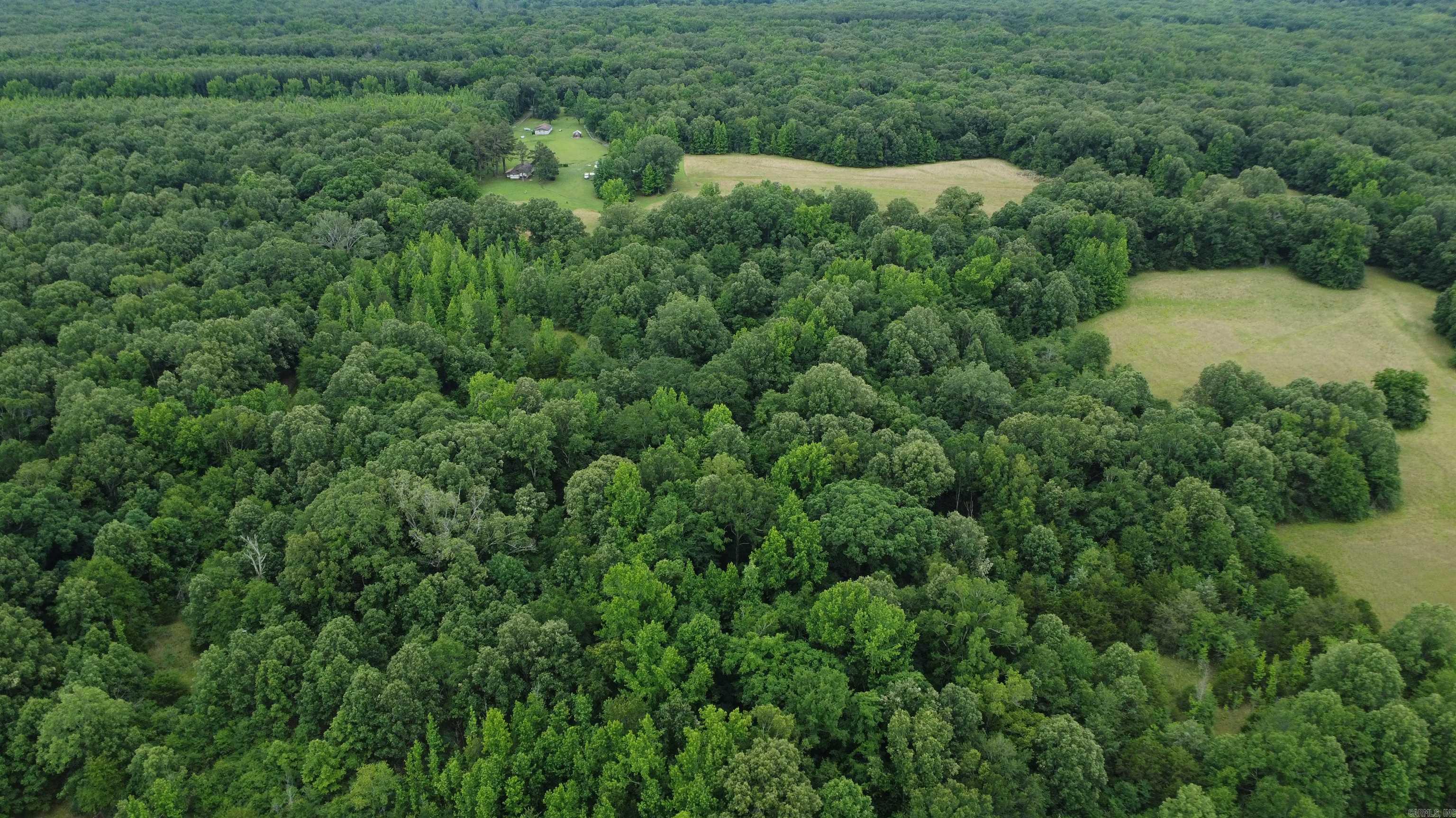   BUTLER LN  DeWitt, AR