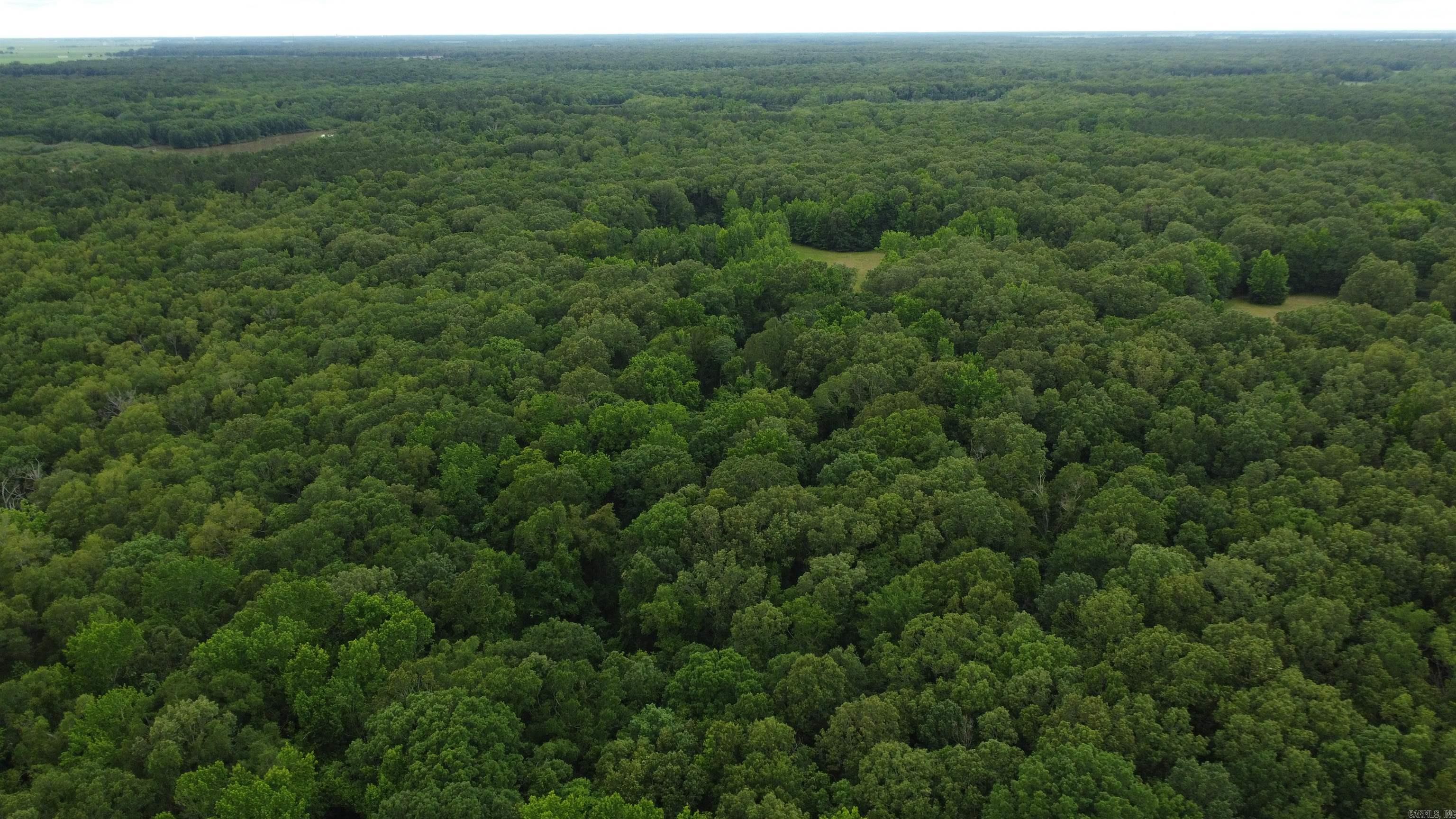   BUTLER LN  DeWitt, AR