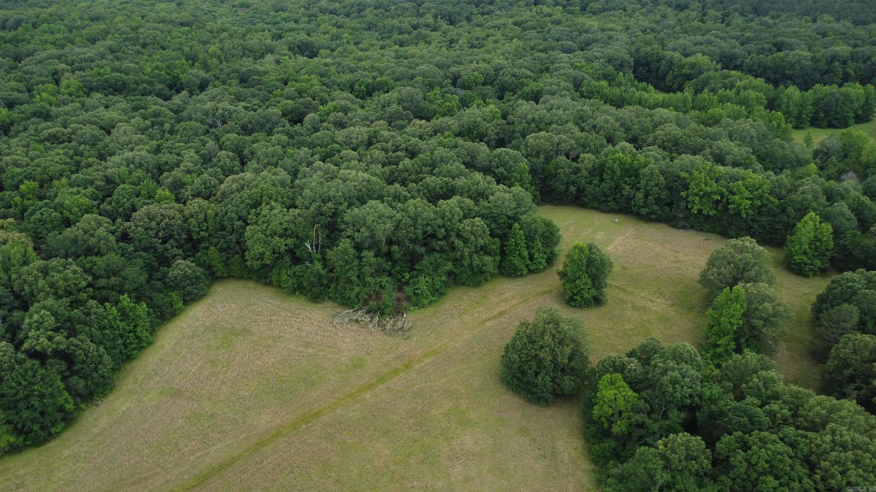   BUTLER LN  DeWitt, AR