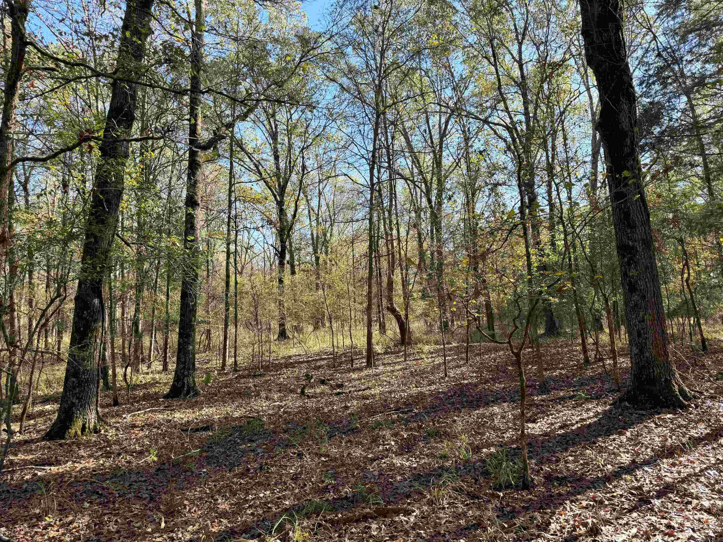   BUTLER LN  DeWitt, AR